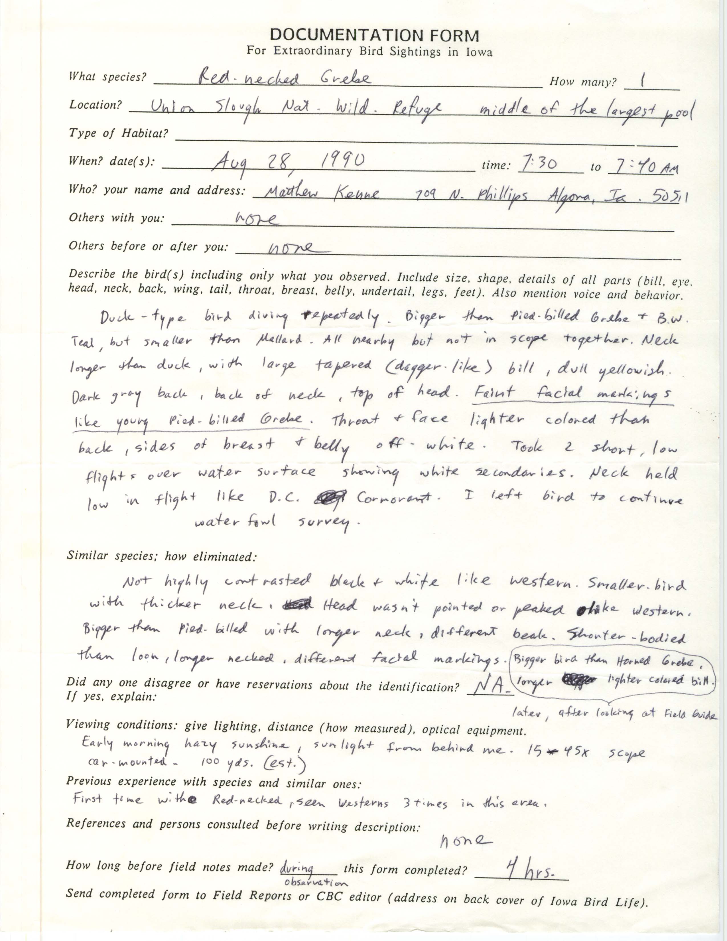 Rare bird documentation form for Red-necked Grebe at Union Slough National Wildlife Refuge, 1990