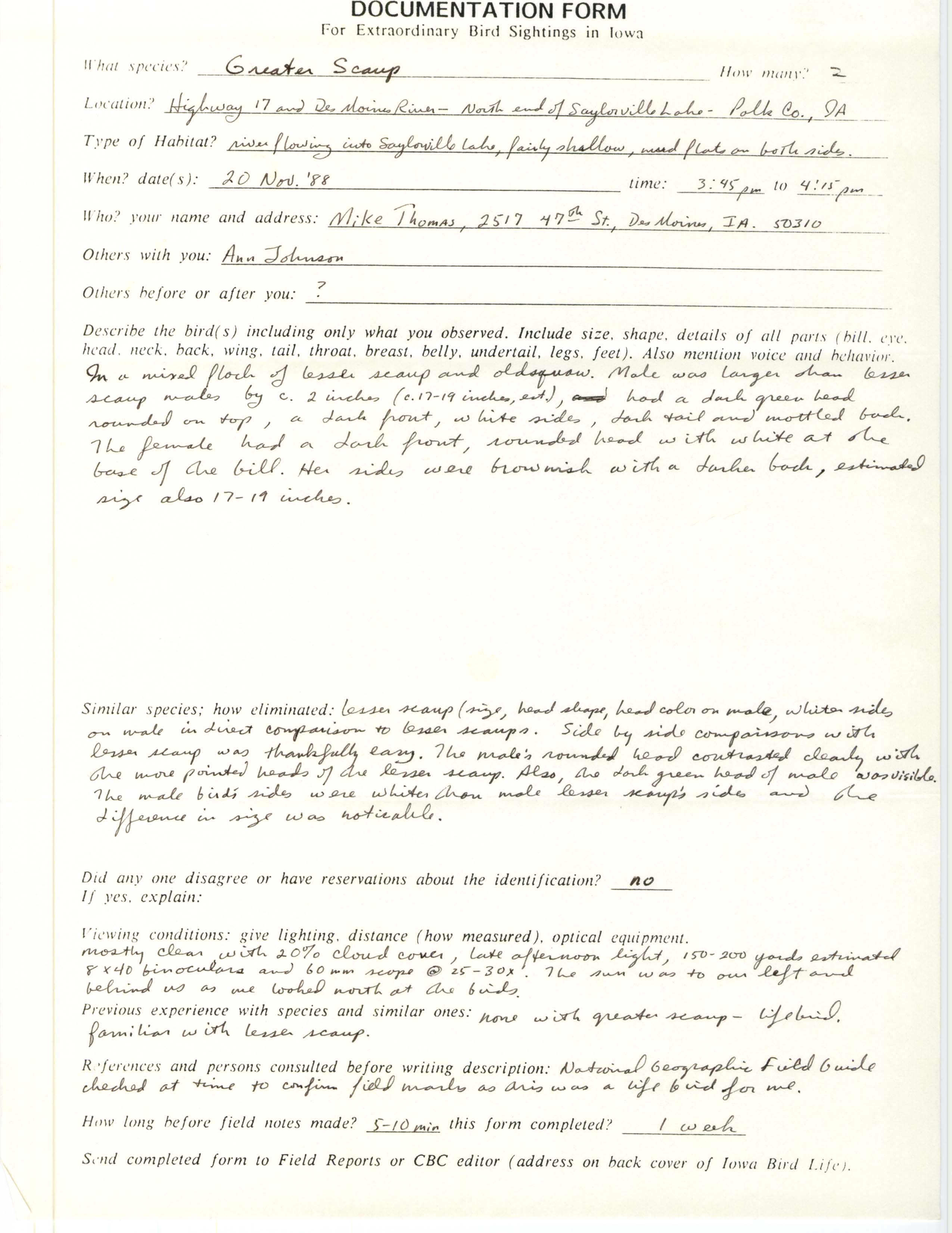 Rare bird documentation form for Greater Scaup at Saylorville Lake, 1988