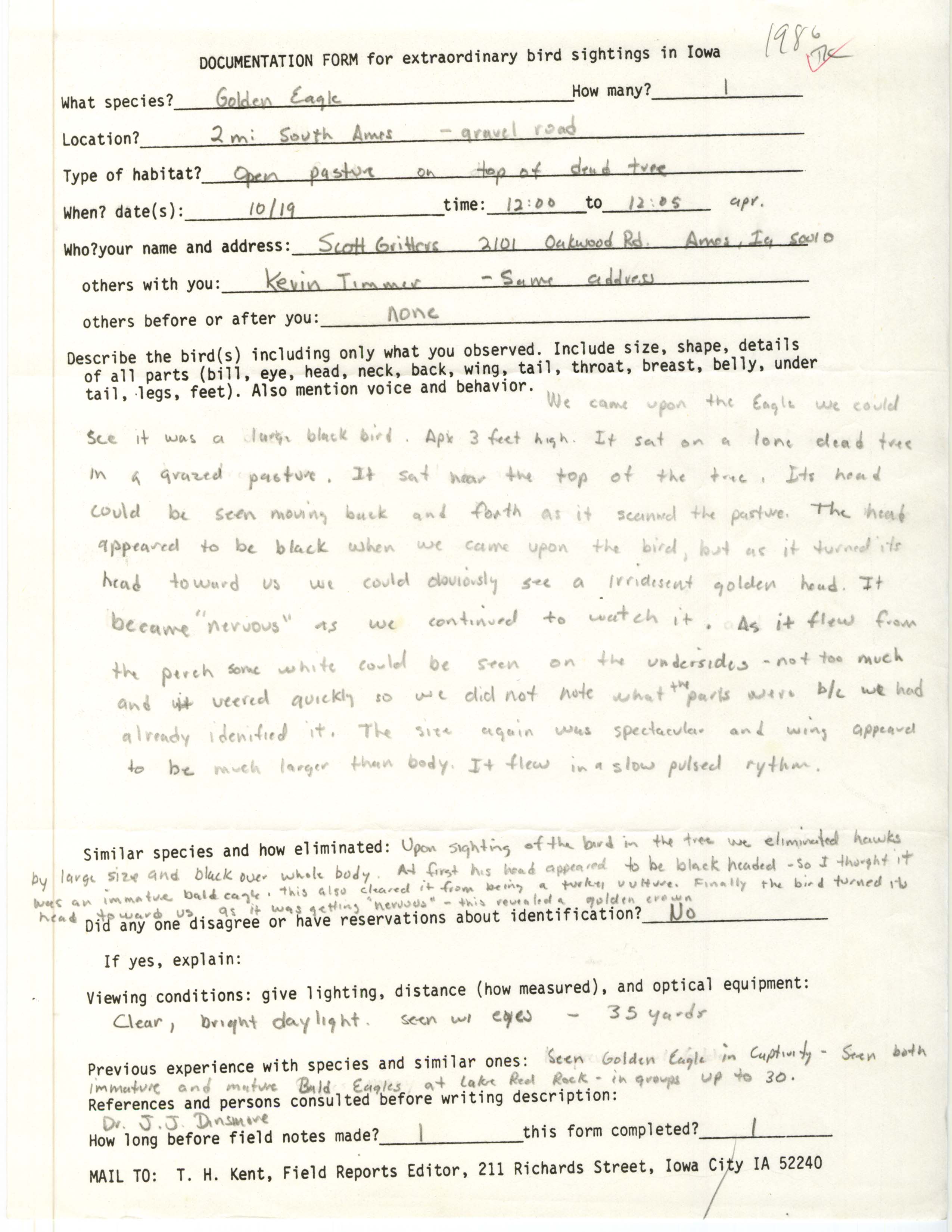 Rare bird documentation form for Golden Eagle at Ames, 1986