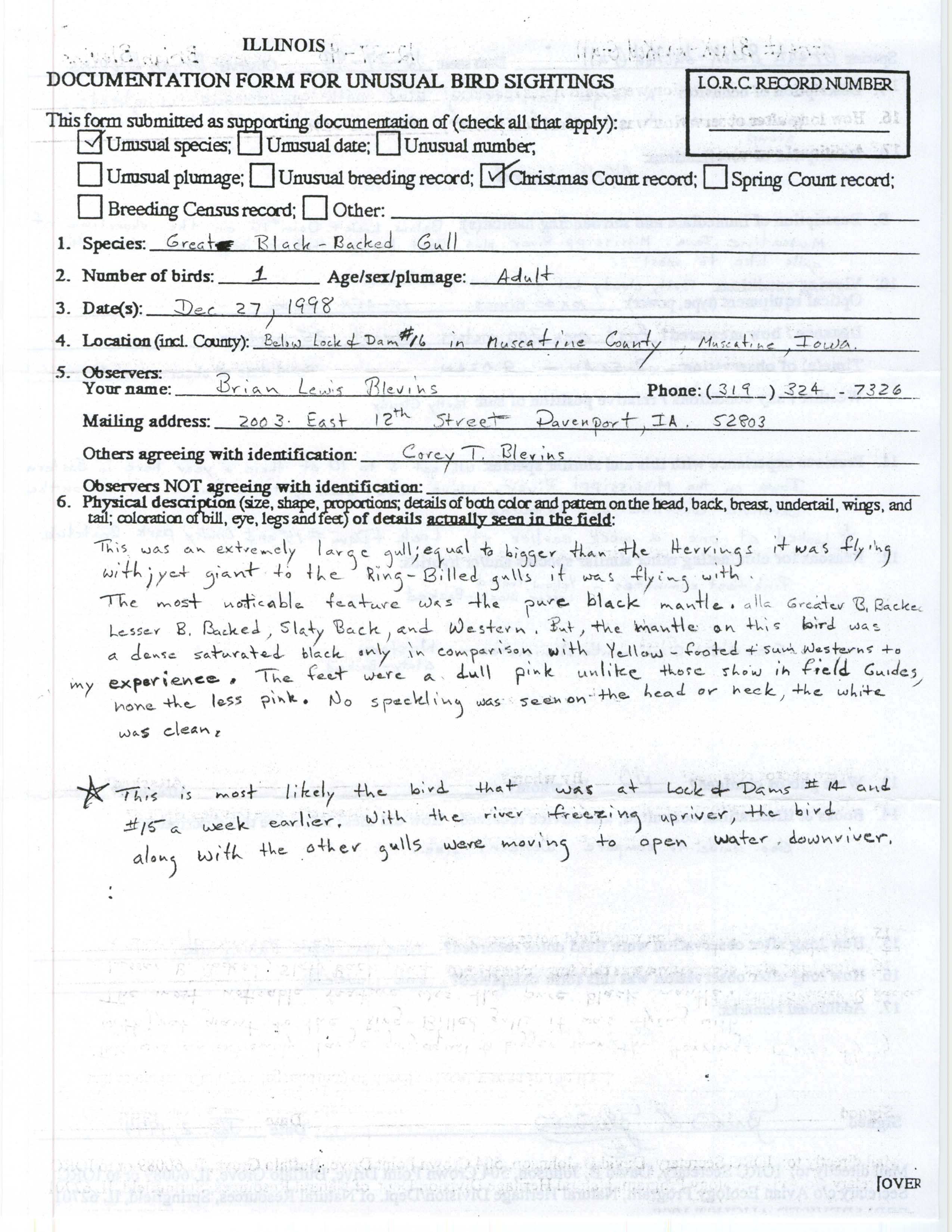 Rare bird documentation form for Great Black-backed Gull at Lock and Dam 16, 1998
