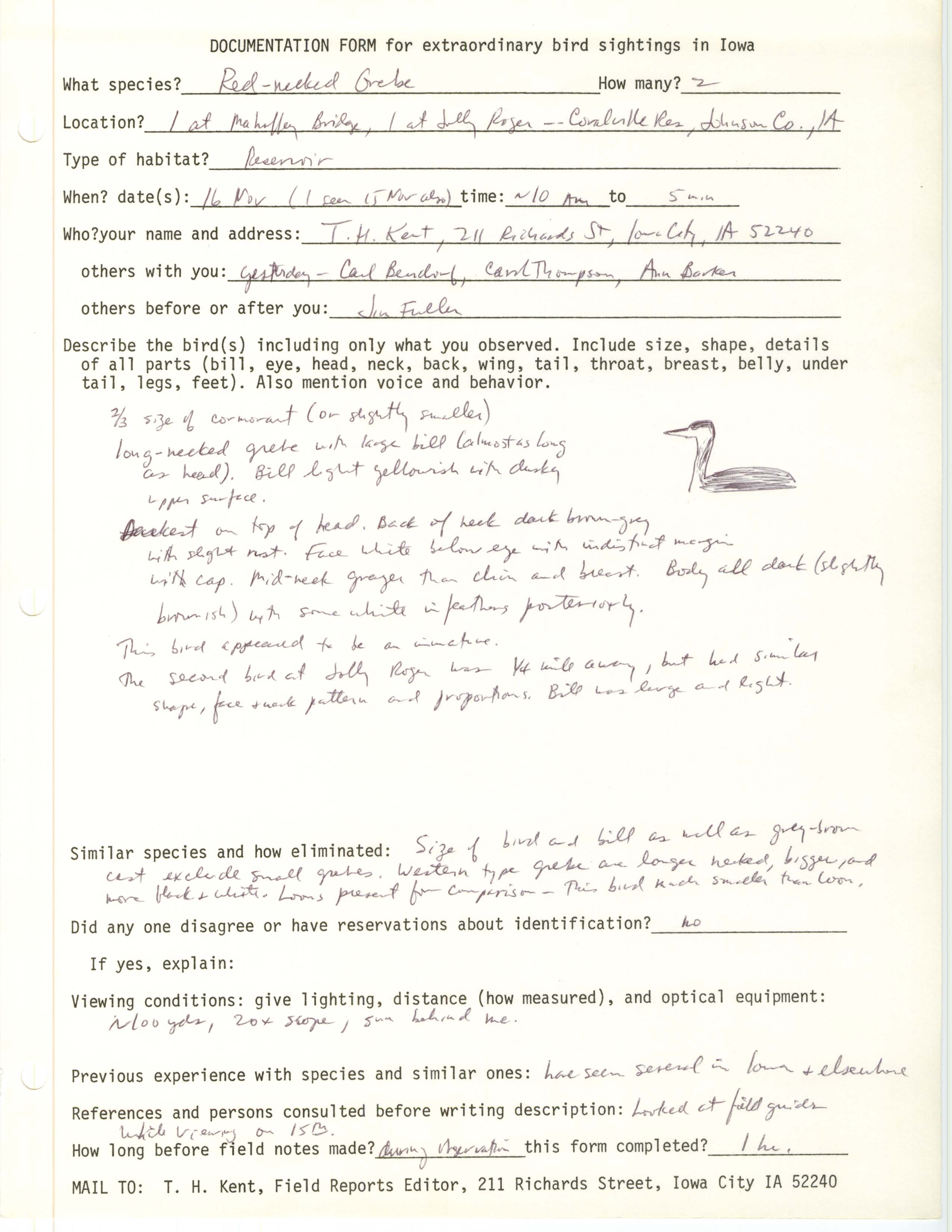 Rare bird documentation form for Red-necked Grebe at Coralville Reservoir, 1986