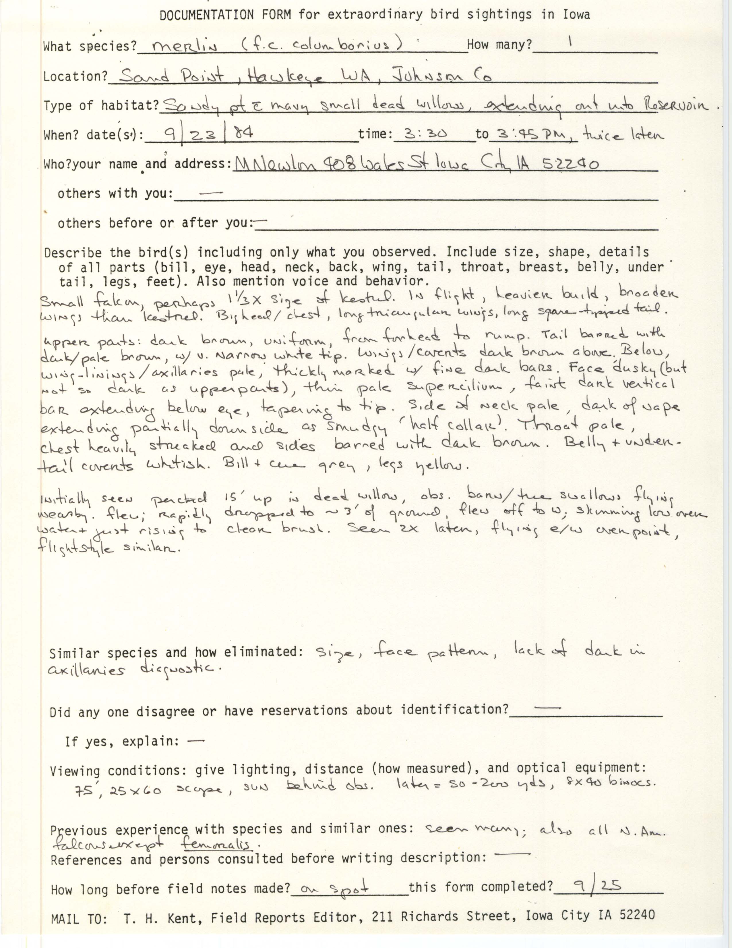 Rare bird documentation form for Merlin at Sand Point in Hawkeye Wildlife Area, 1984