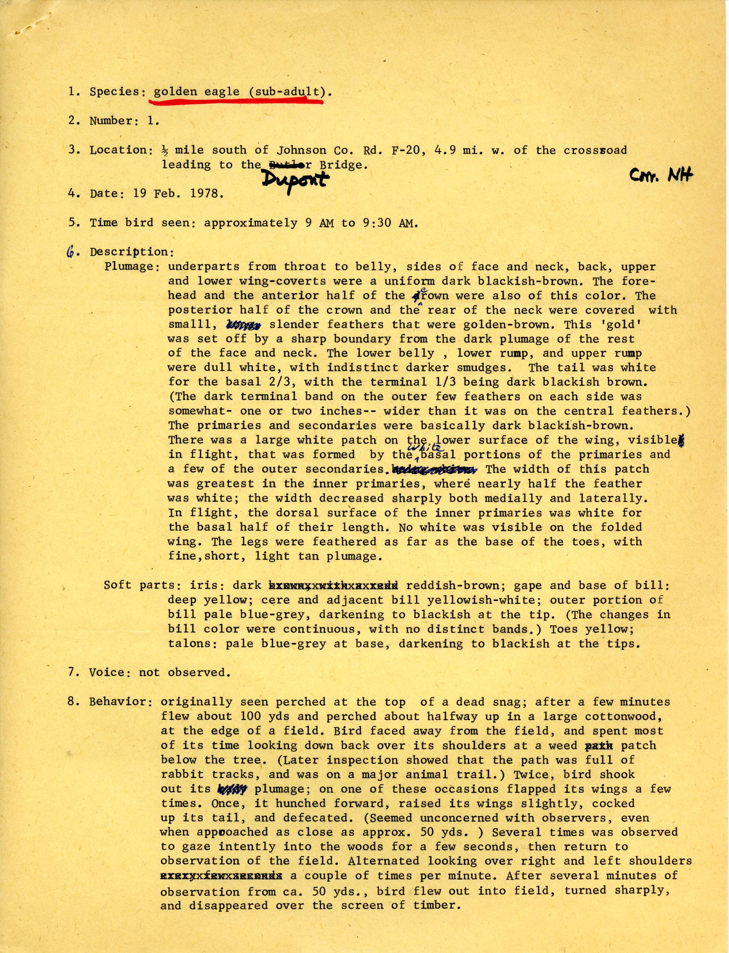 Rare bird documentation form for Golden Eagle at the Dupont Bridge in Hawkeye Wildlife Management Area, 1978