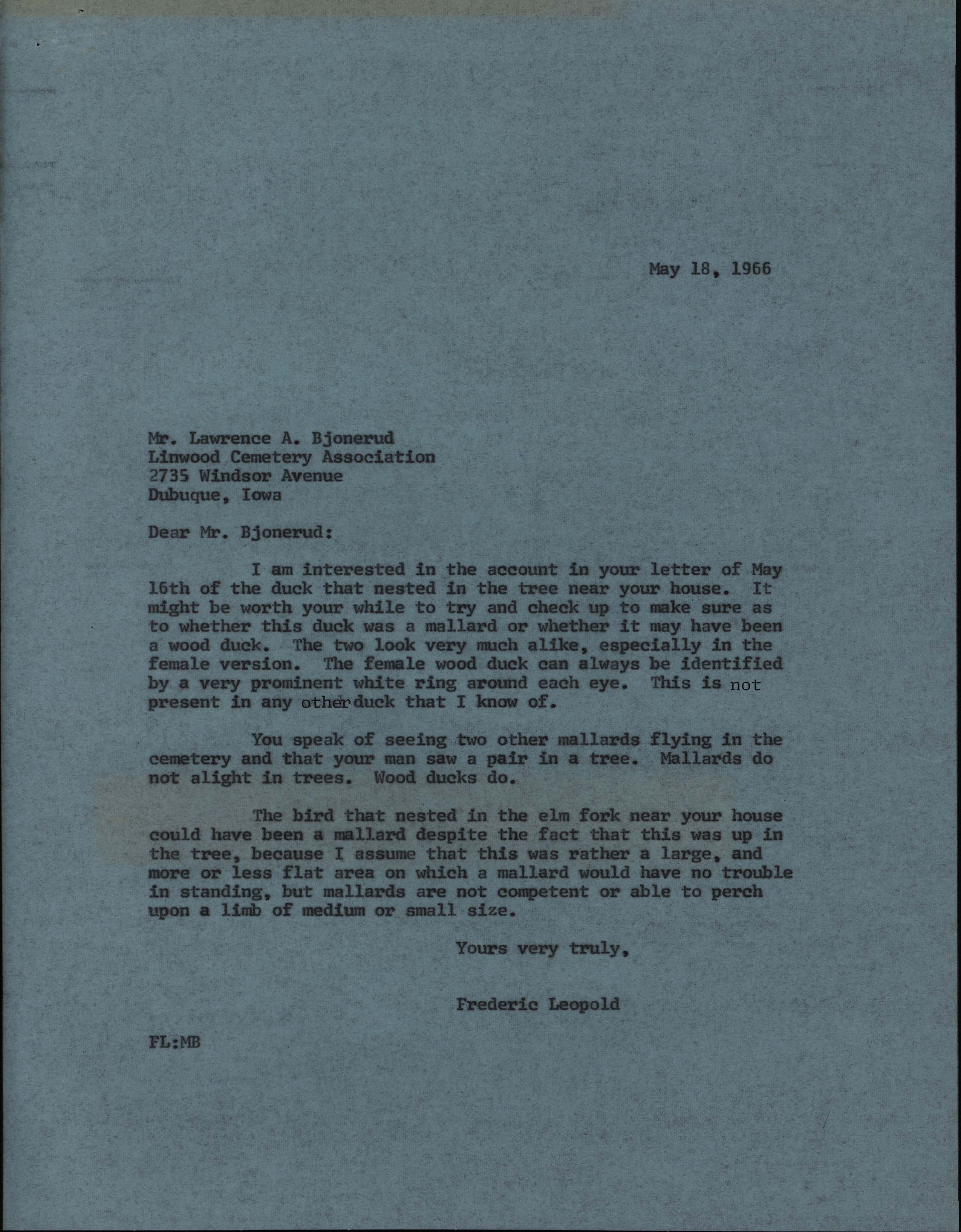 Frederic Leopold letter to Lawrence A. Bjonerud regarding identifying Wood Ducks, May 18, 1966