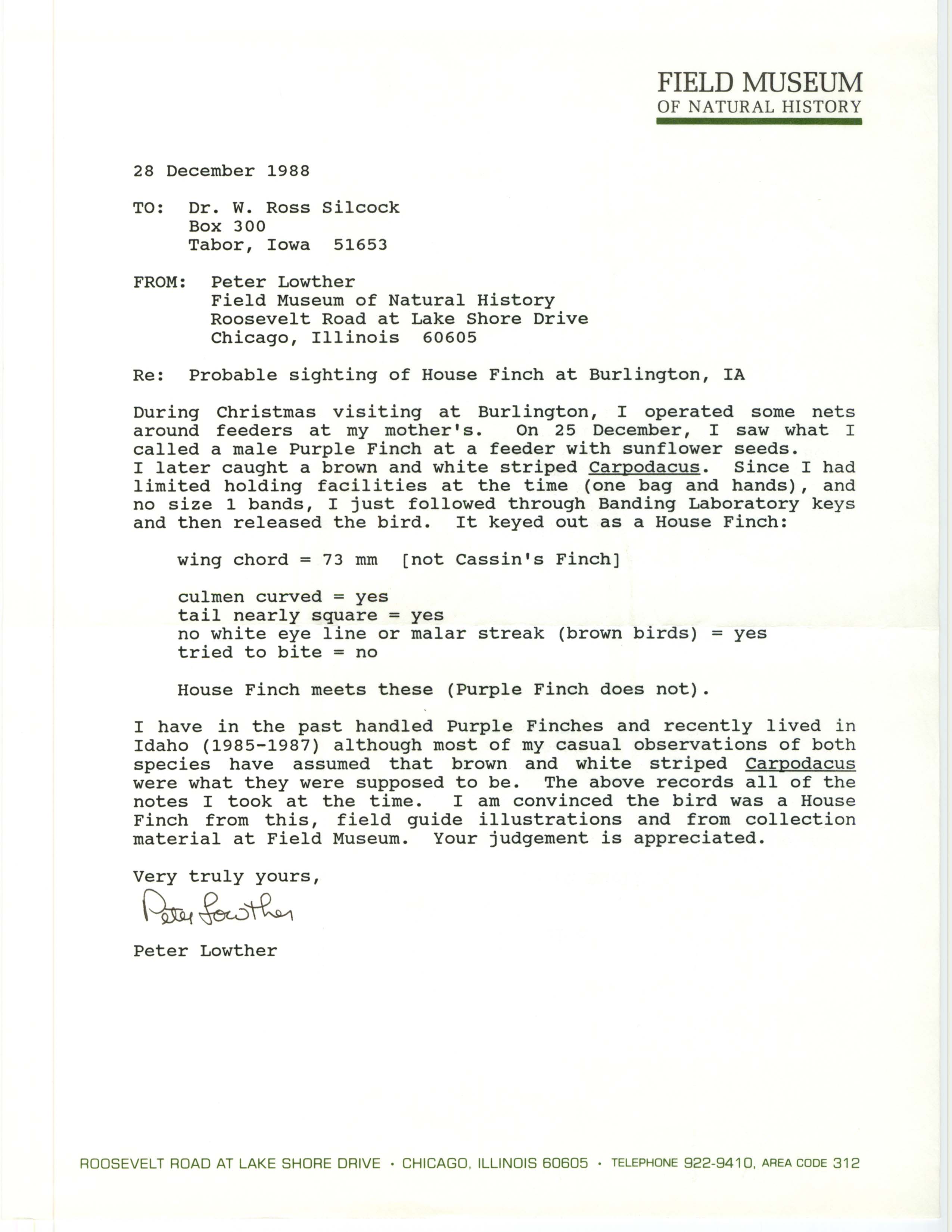 Peter Lowther letter to W. Ross Silcock regarding House Finch sighting in 1988, December 28, 1988 