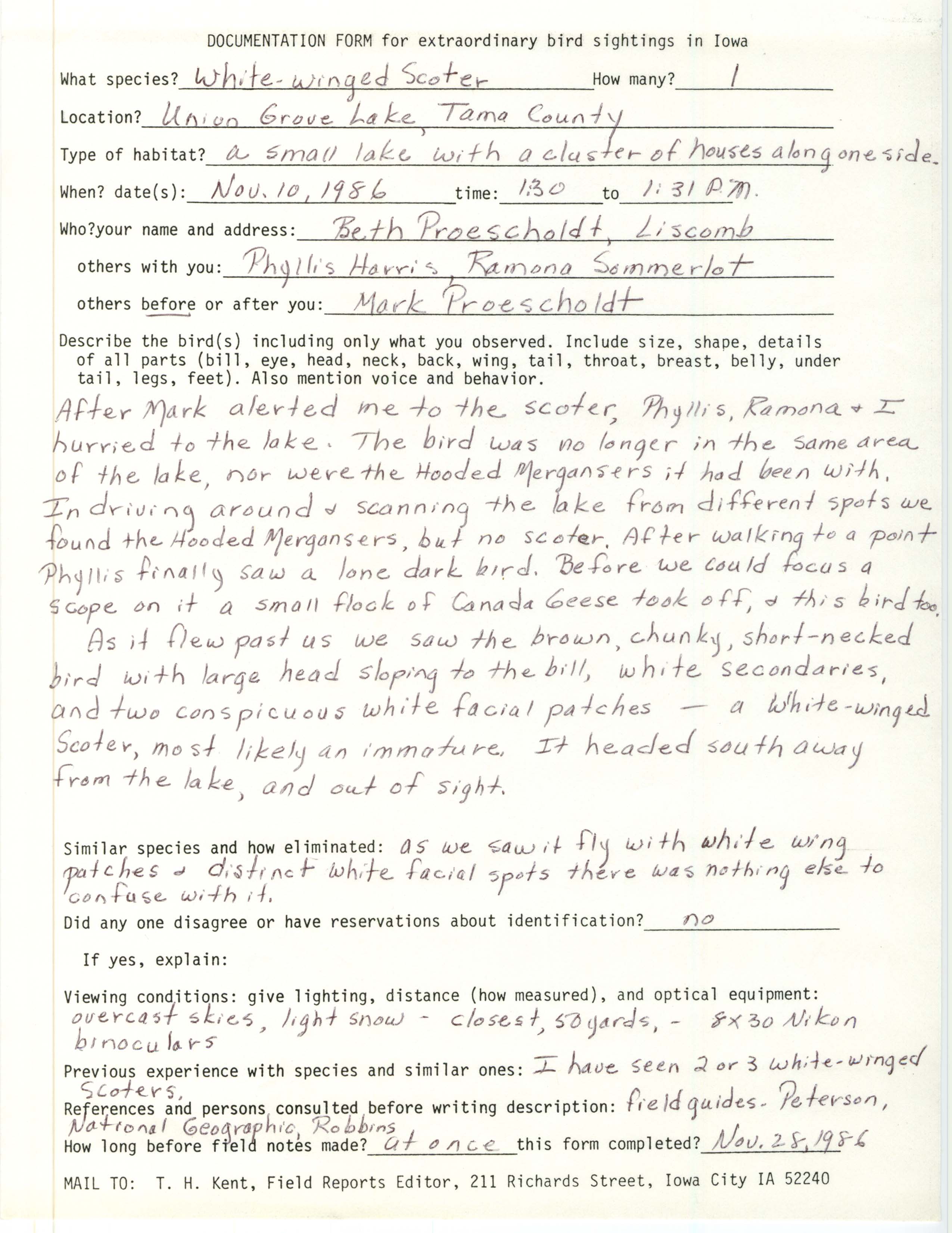 Rare bird documentation form for White-winged Scoter at Union Grove Lake, 1986