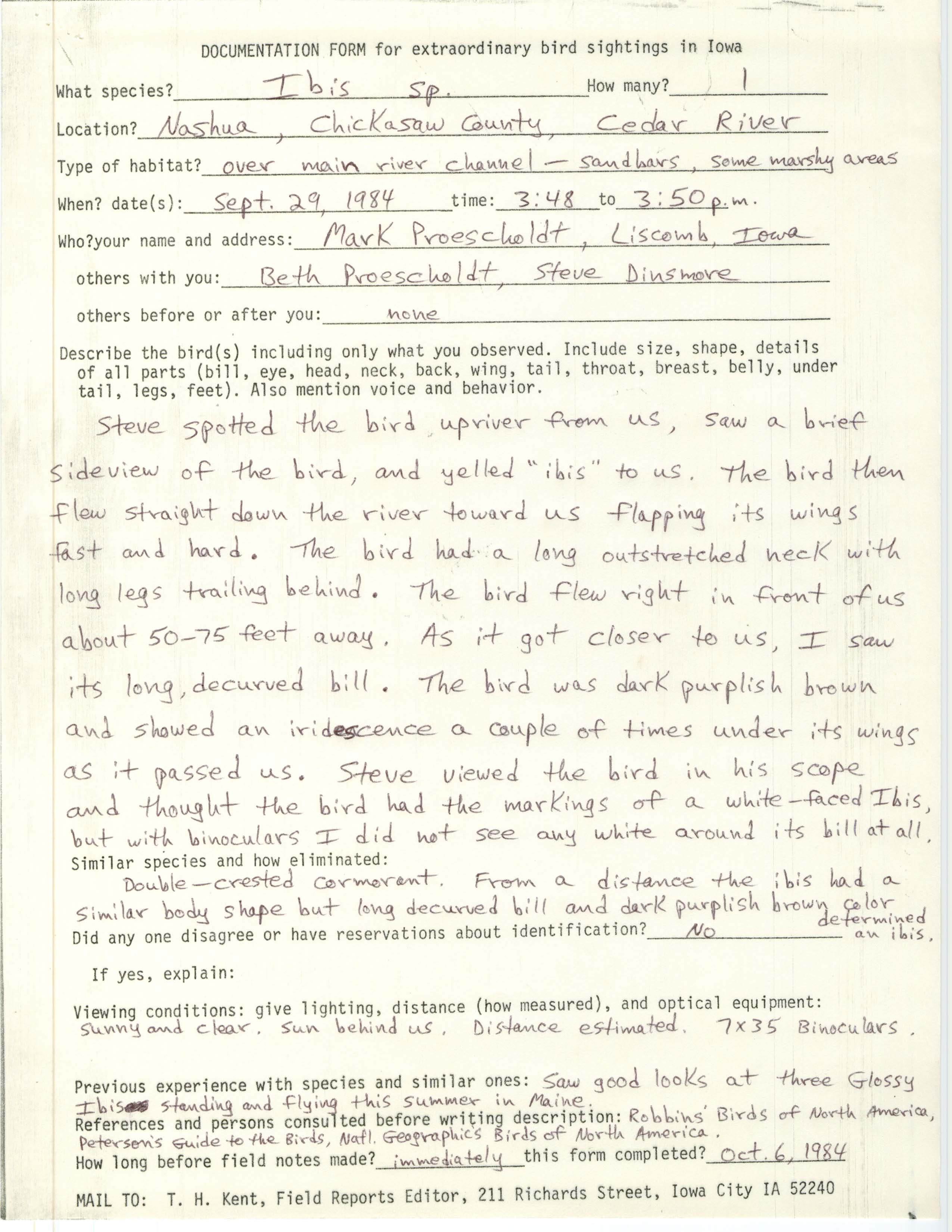Rare bird documentation form for Ibis species at Nashua, 1984