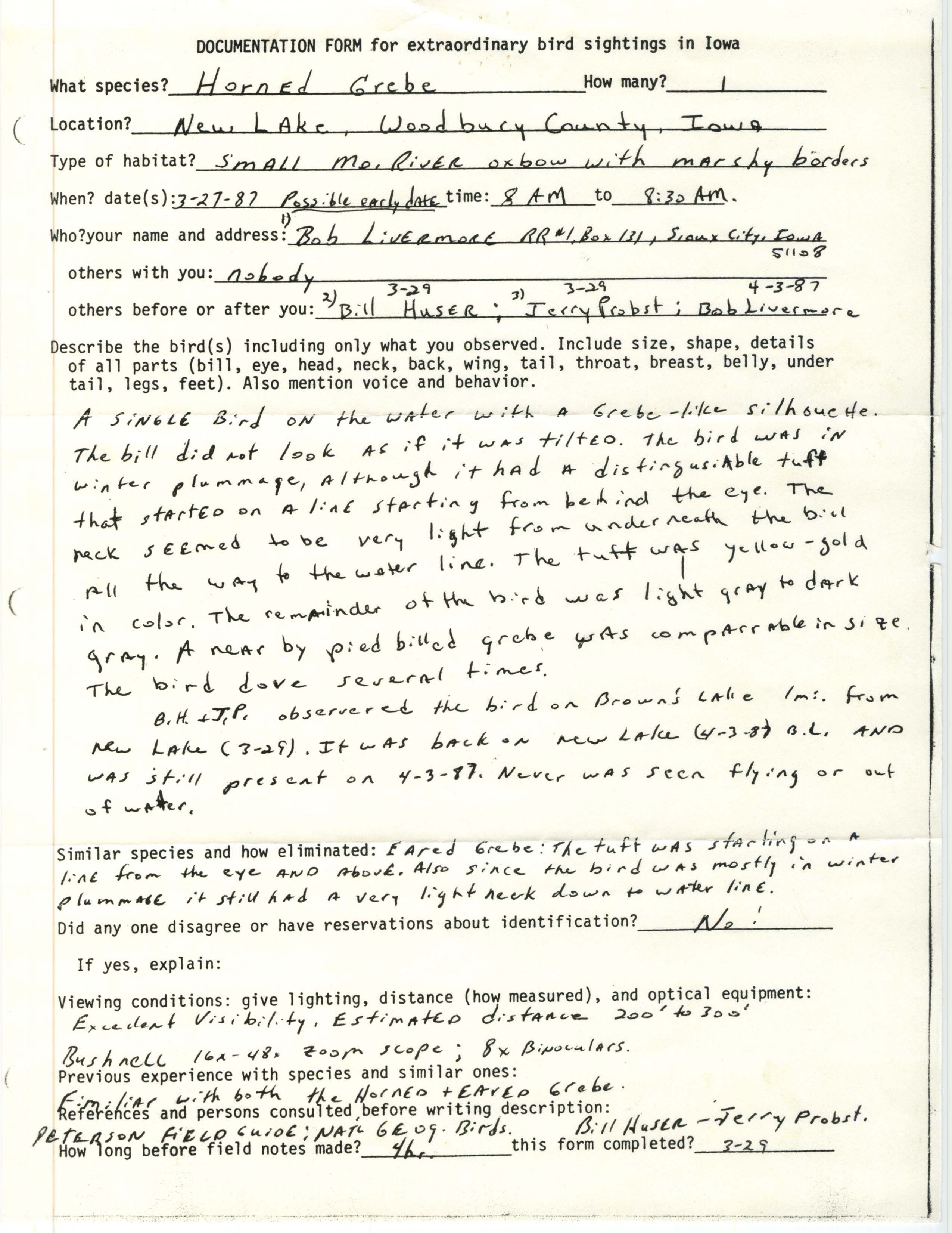 Rare bird documentation form for Horned Grebe at New Lake, 1987