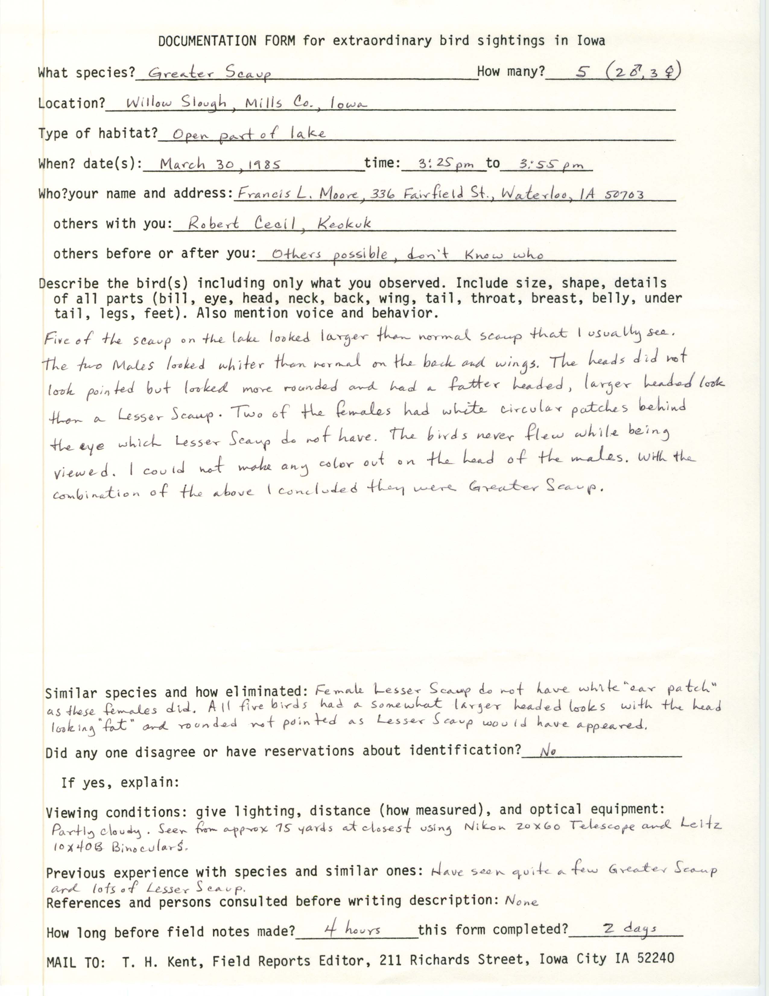 Rare bird documentation form for Greater Scaup at Willow Slough, 1985