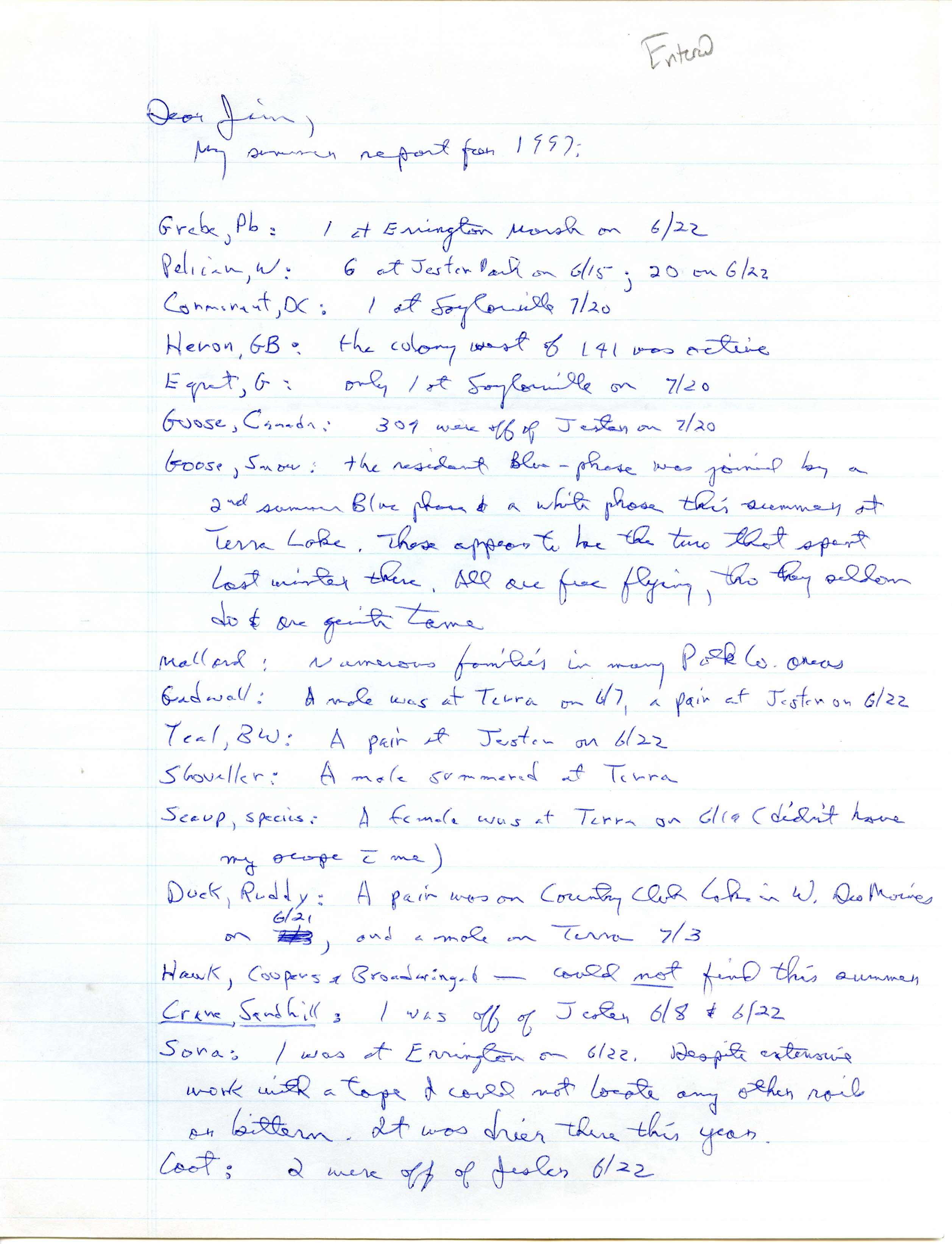 Bery Engebretsen letter to James J. Dinsmore regarding summer bird sightings, summer 1997