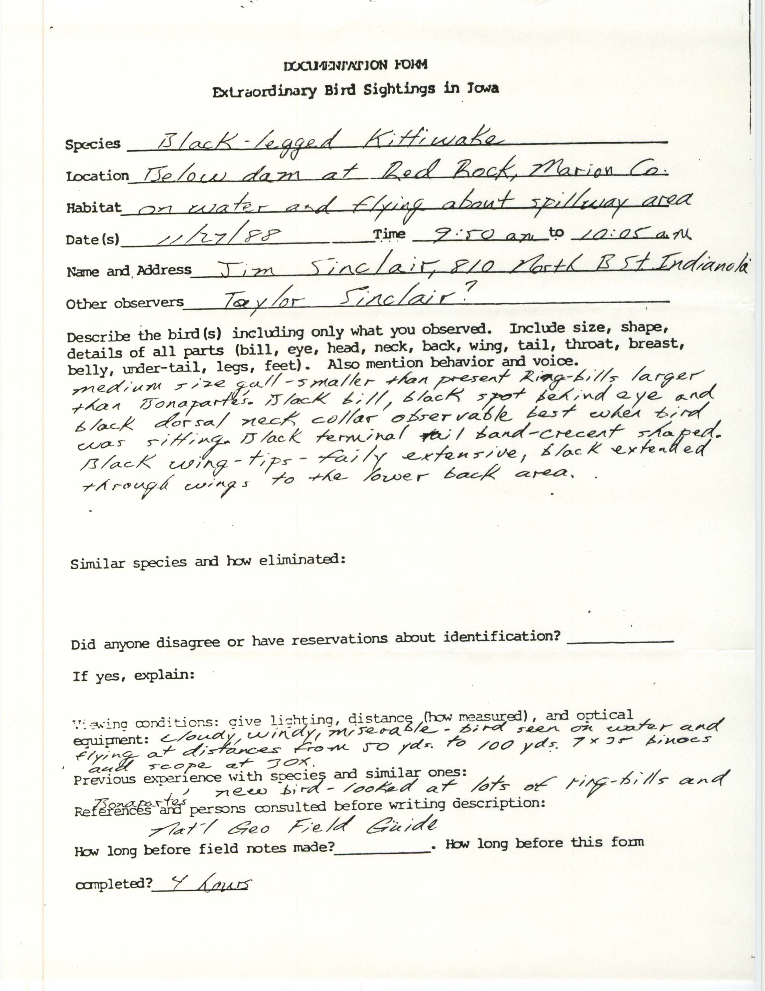 Rare bird documentation form for Black-legged Kittiwake at Red Rock Dam, 1988