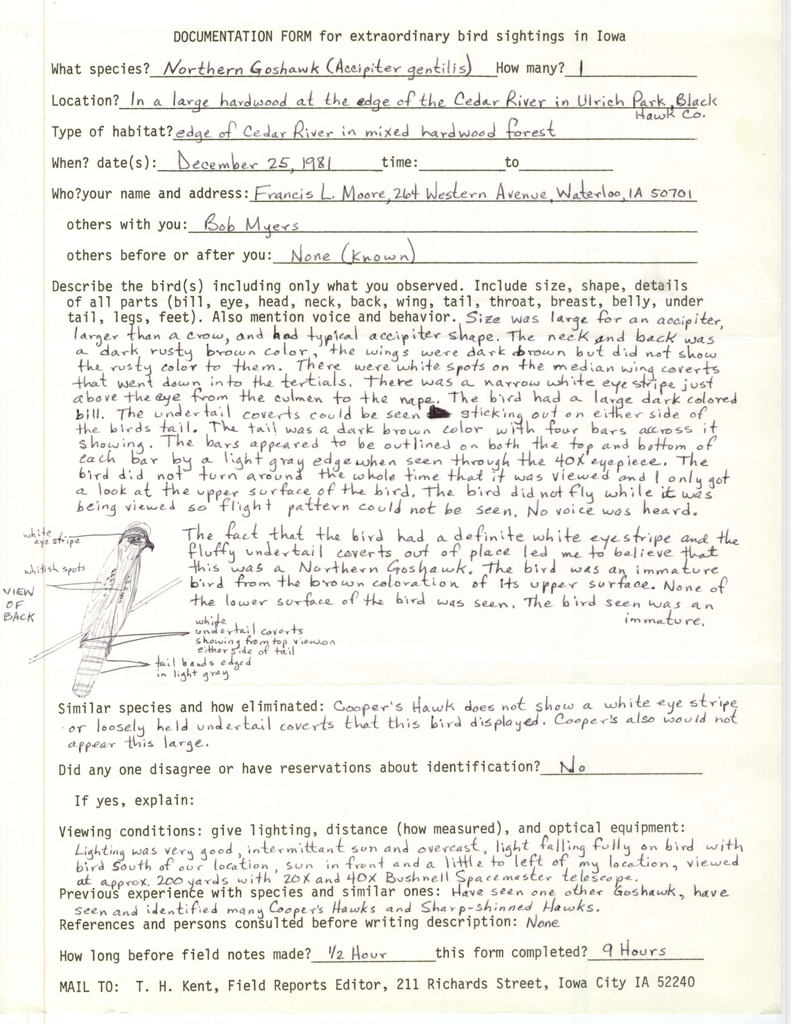 Rare bird documentation form for Northern Goshawk at Ulrich Park, 1981