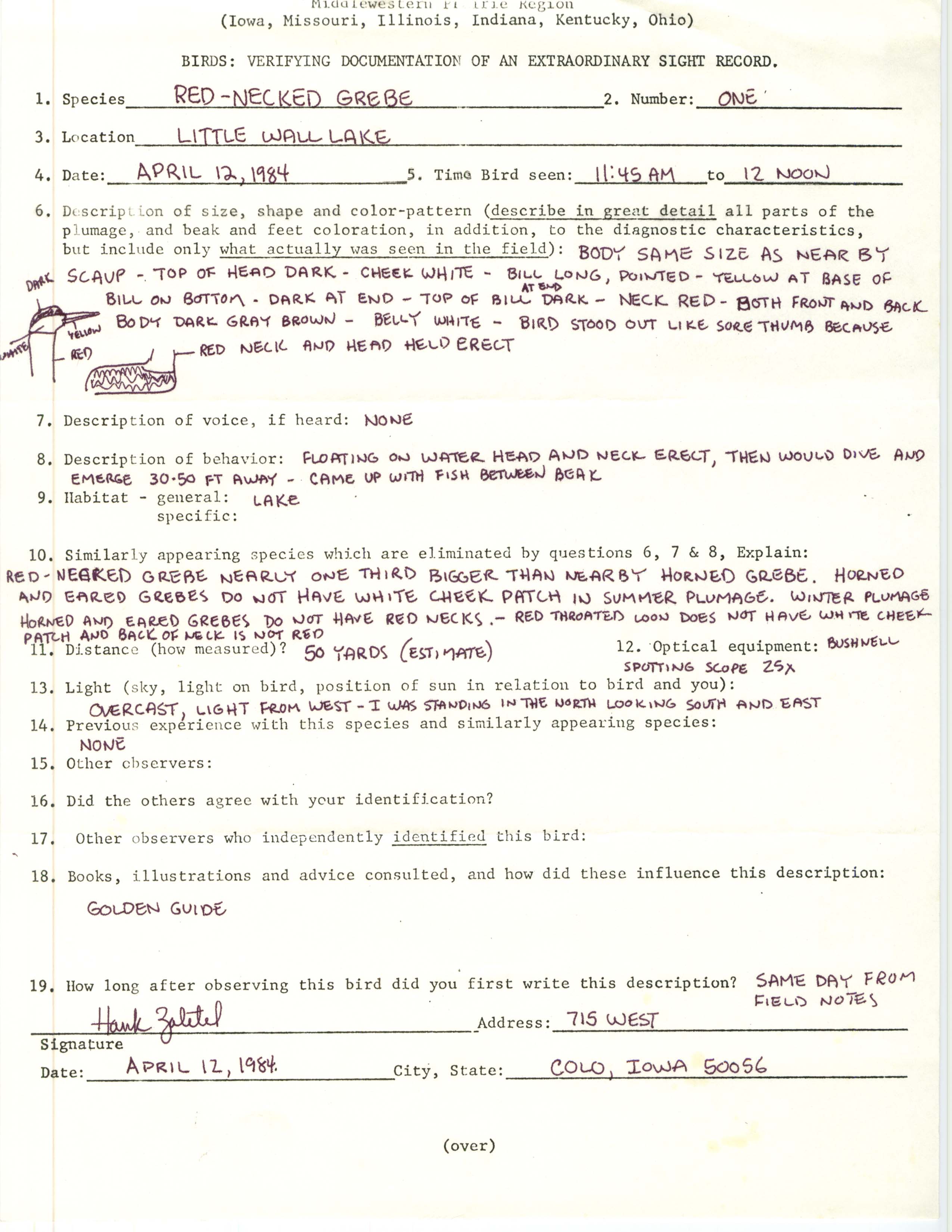 Rare bird documentation form for Red-necked Grebe at Little Wall Lake, 1984