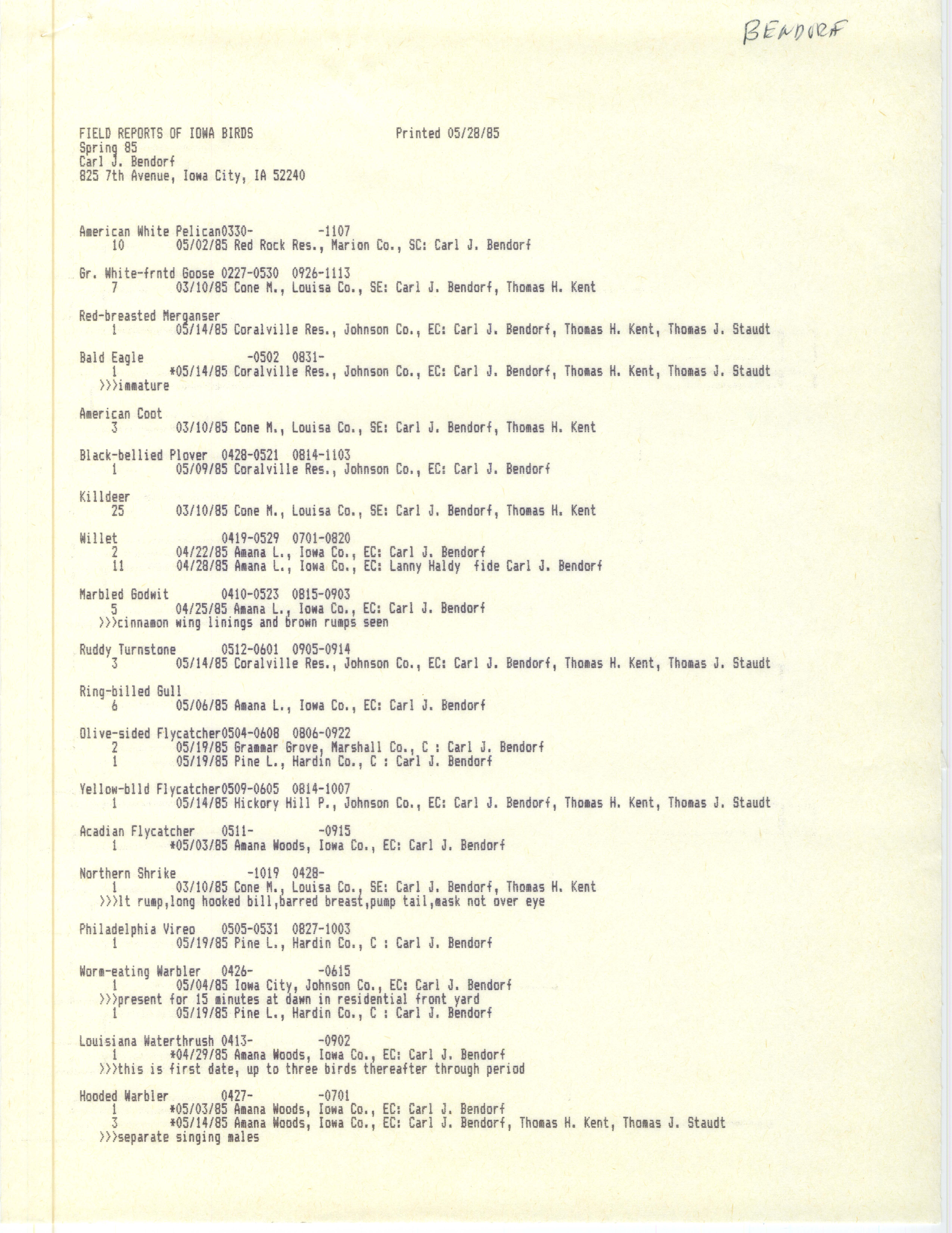 Field reports of Iowa birds, May 28, 1985