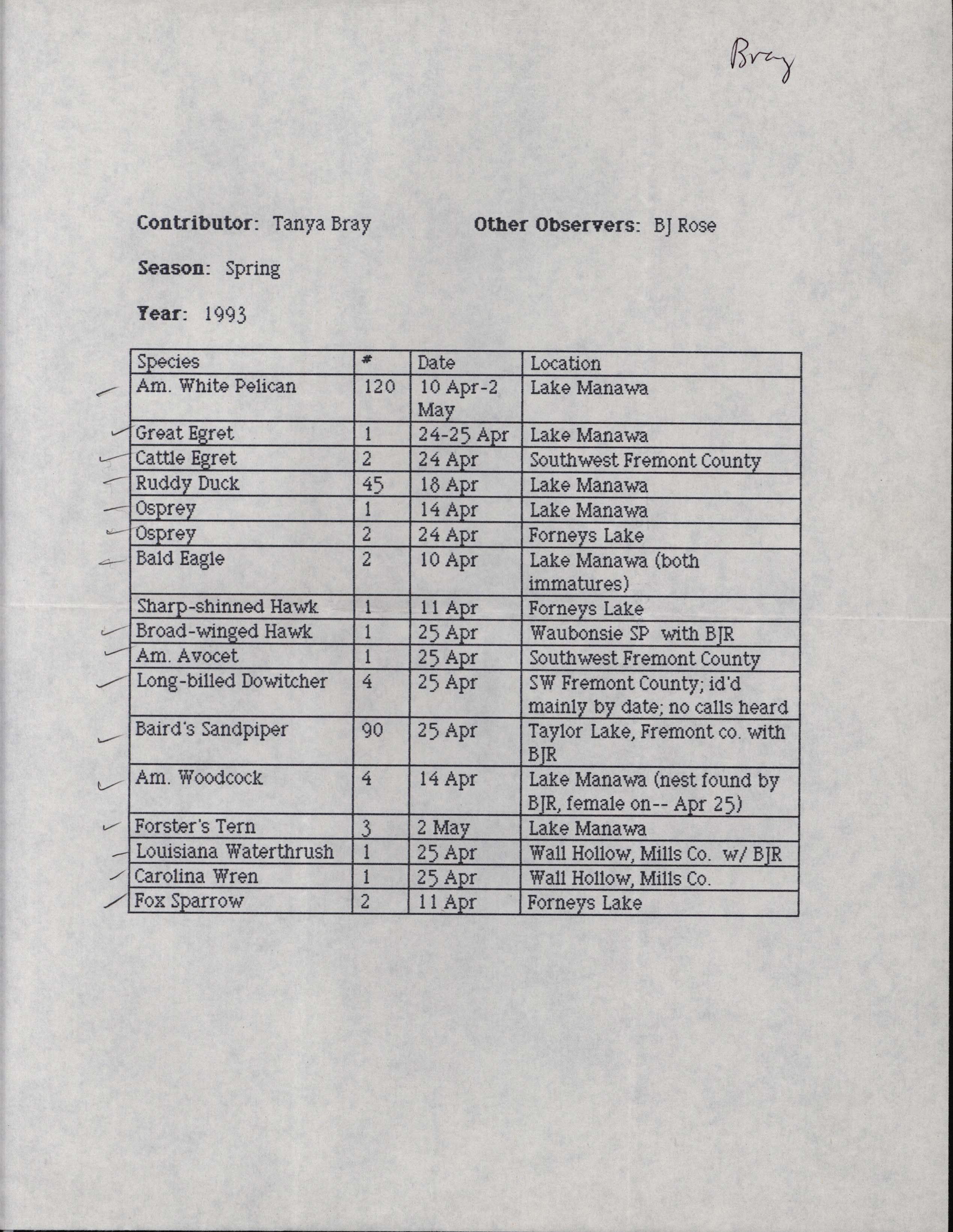 Annotated bird sighting list for Spring 1993 compiled by Tanya Bray