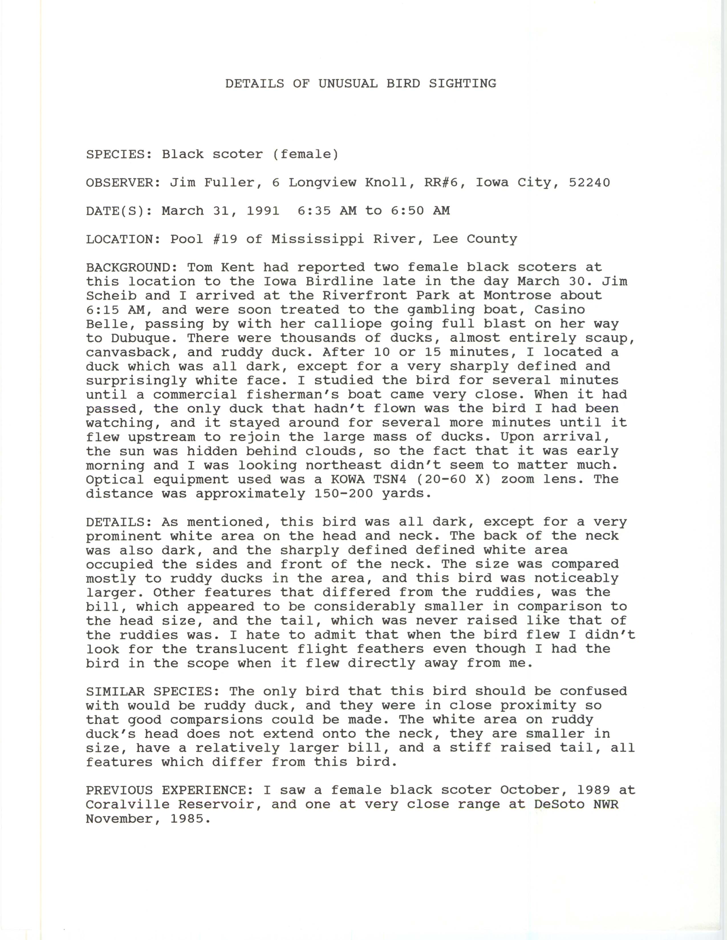 Rare bird documentation form for Black Scoter at Pool 19, 1991