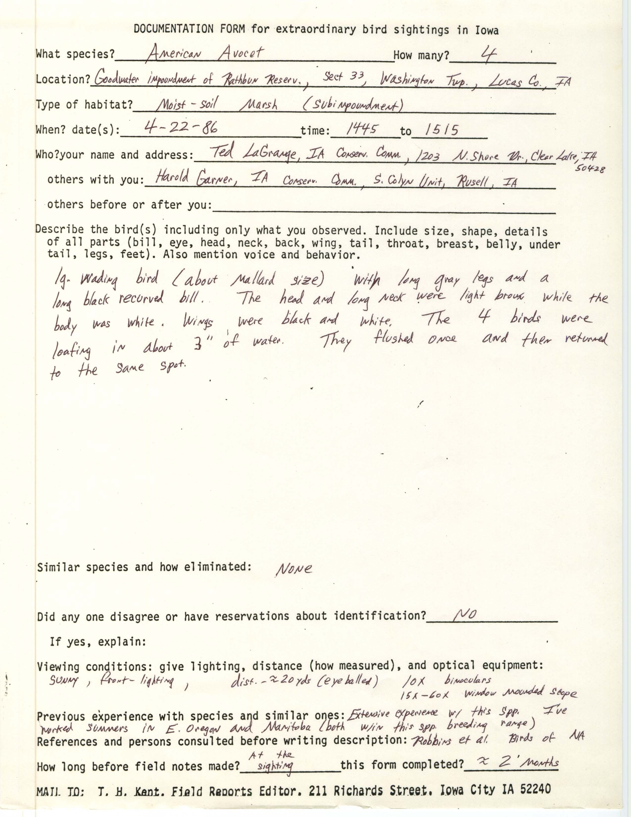 Rare bird documentation form for American Avocet at Goodwater Impoundment at Rathbun Reserve, 1986