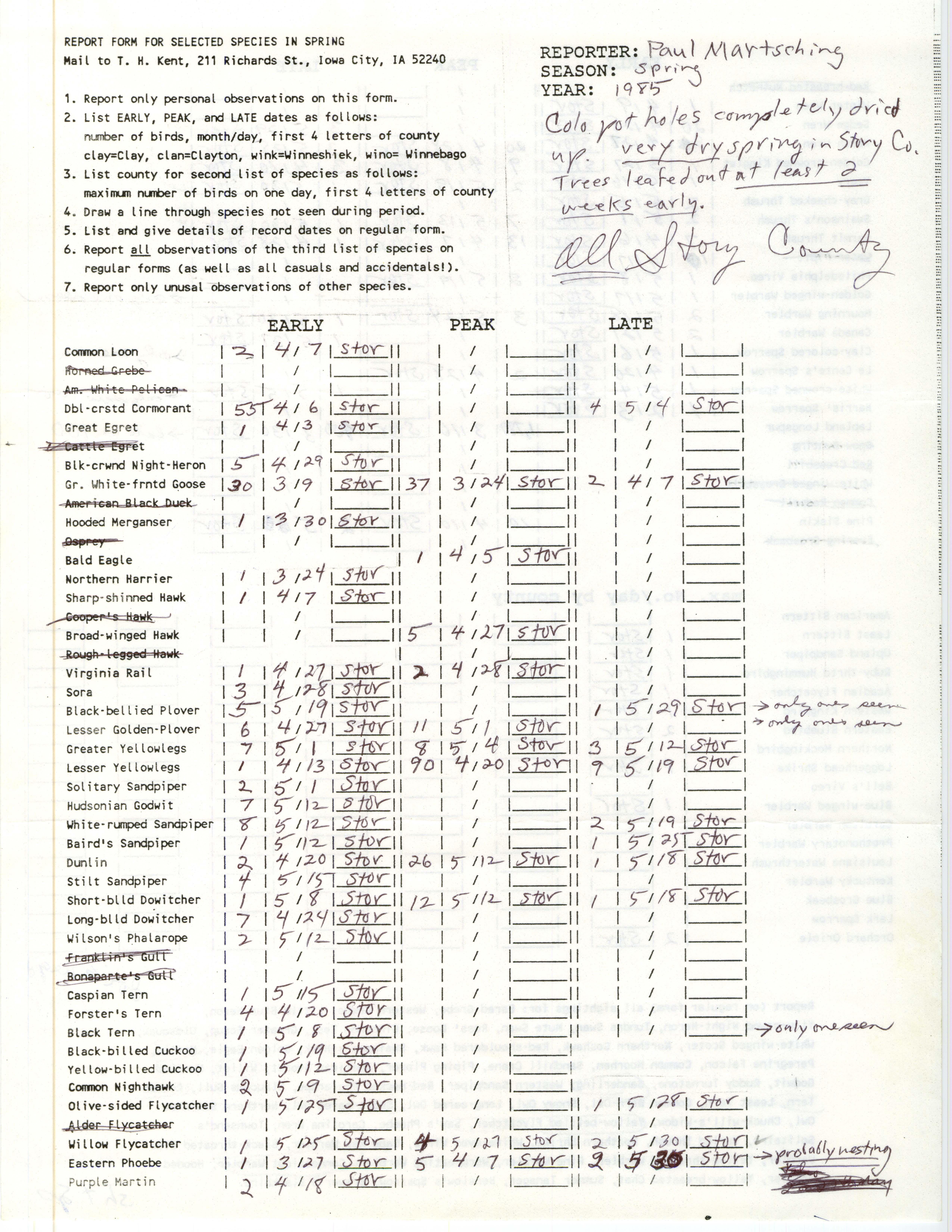 Report form for selected species in spring, contributed by Paul Martsching, spring 1985