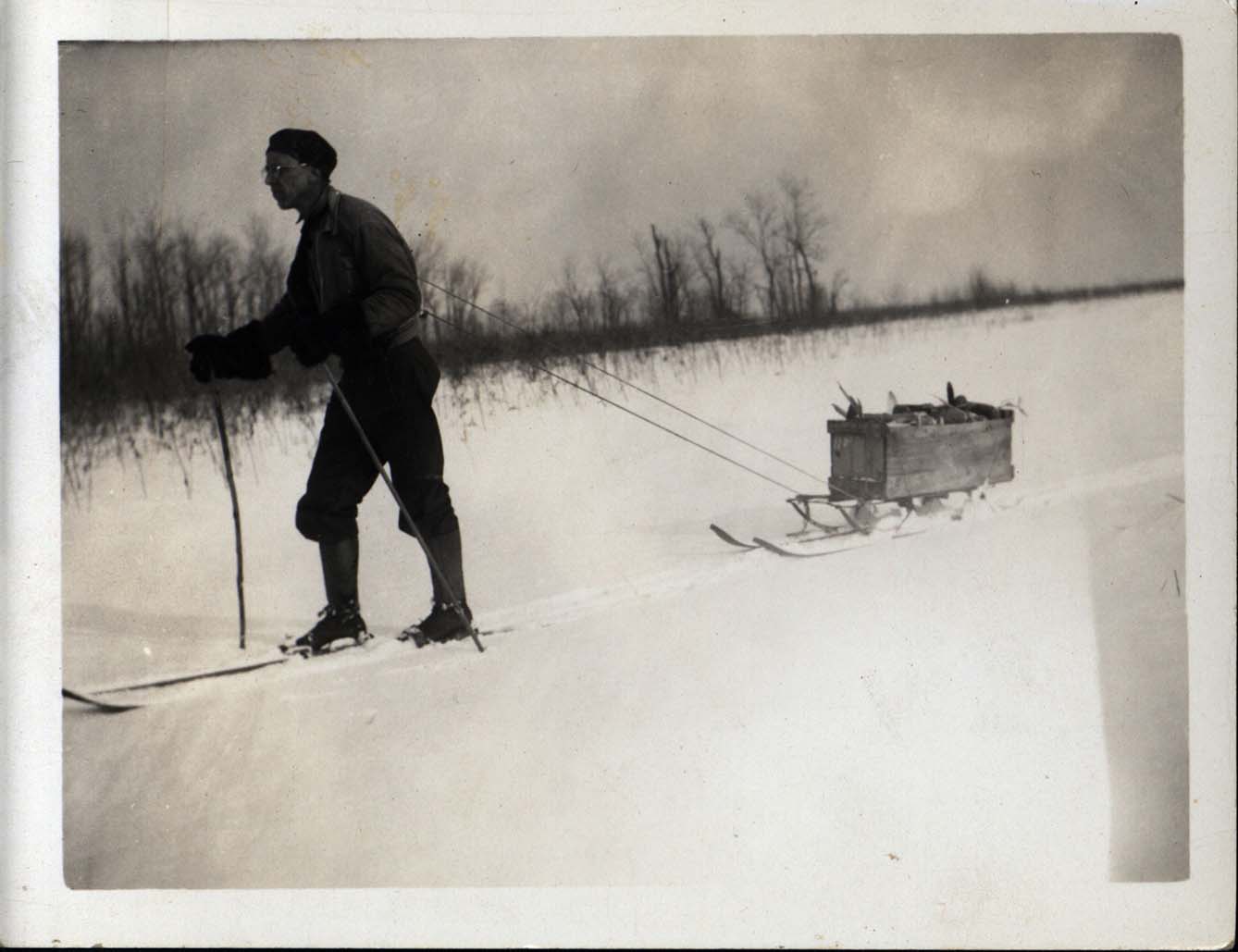 Photograph of Frederic Leopold pulling a sled