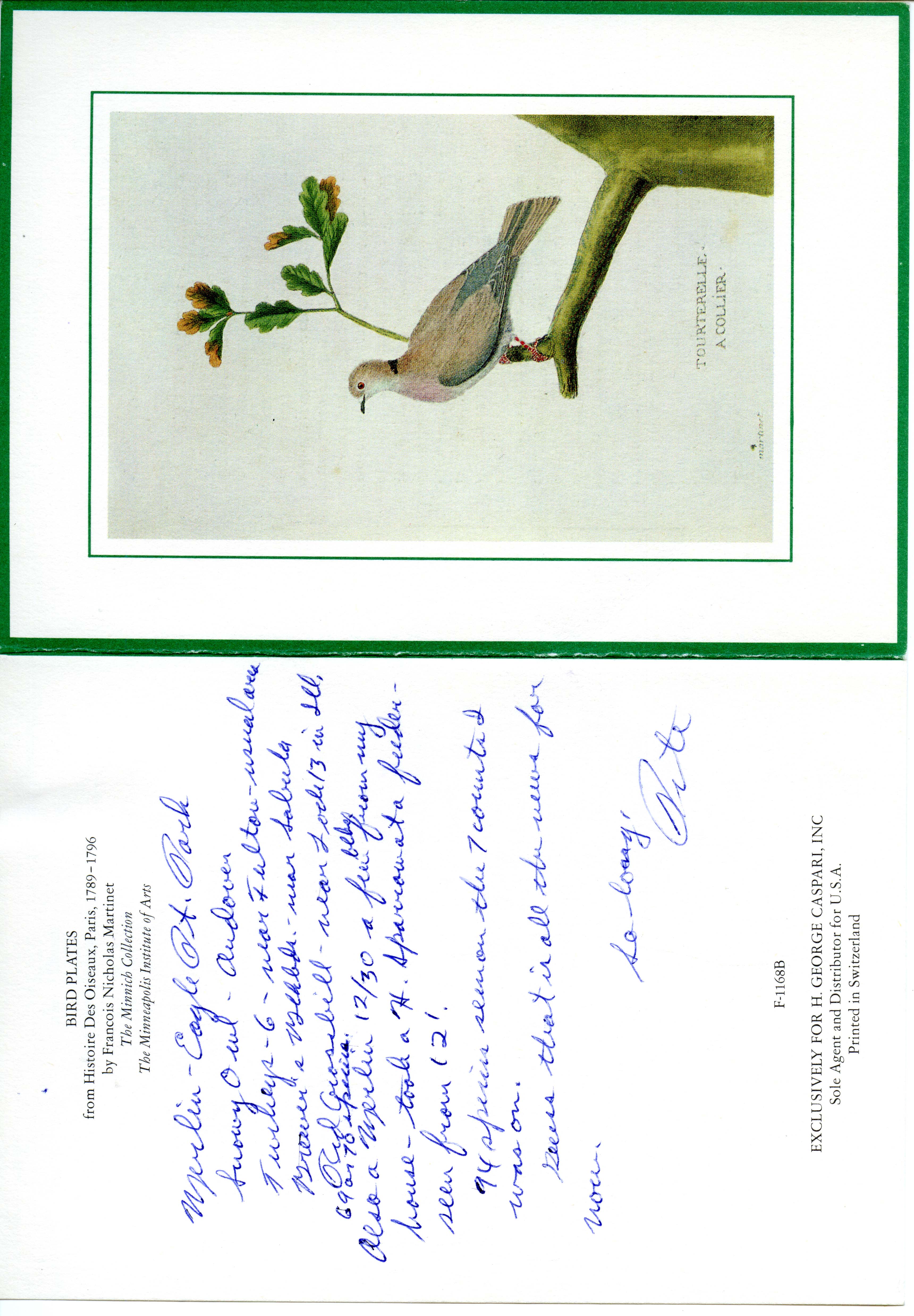 Peter C. Petersen letter to Nicholas S. Halmi regarding bird sightings, January 3, 1977