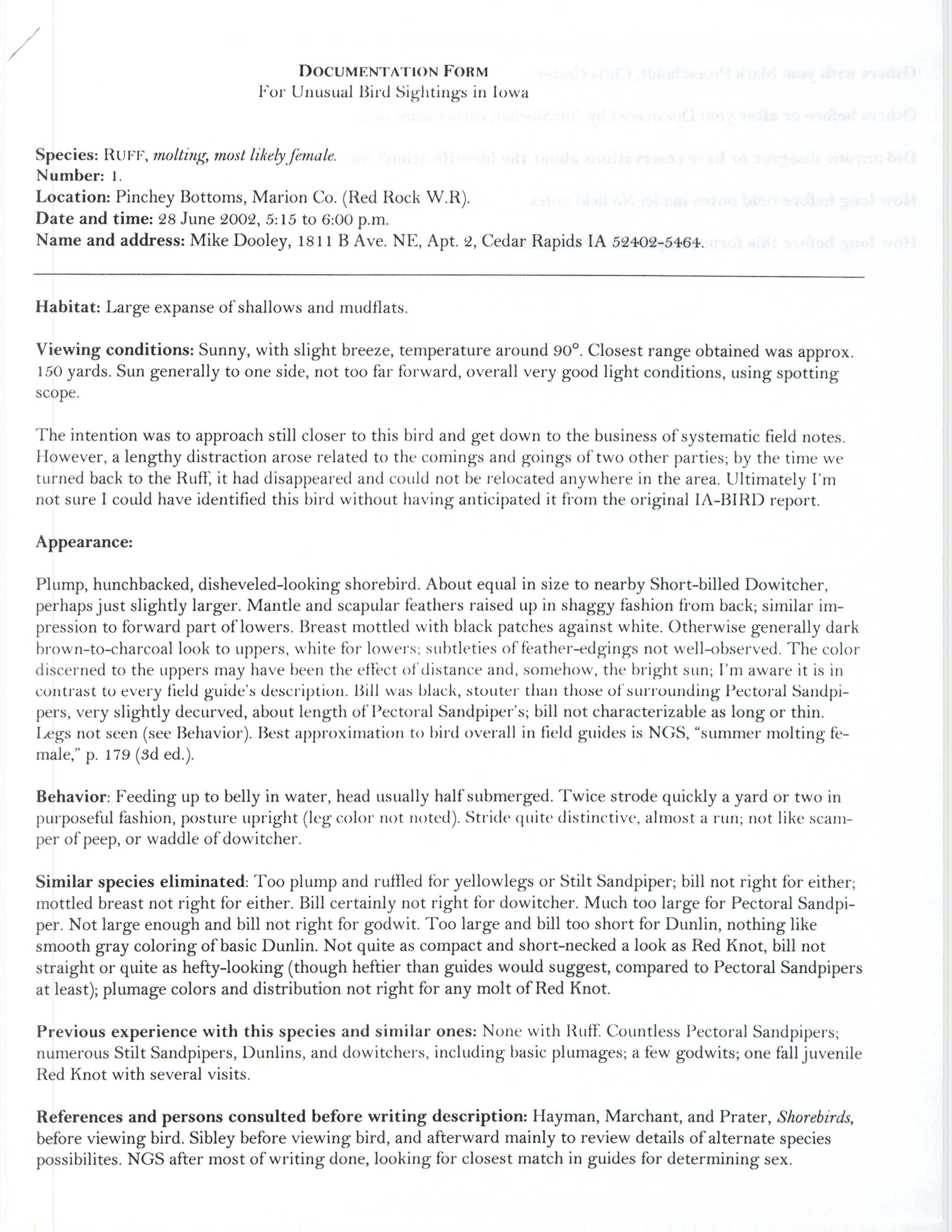Documentation form for unusual bird sightings in Iowa, Ruff, Michael C. Dooley, June 28, 2002