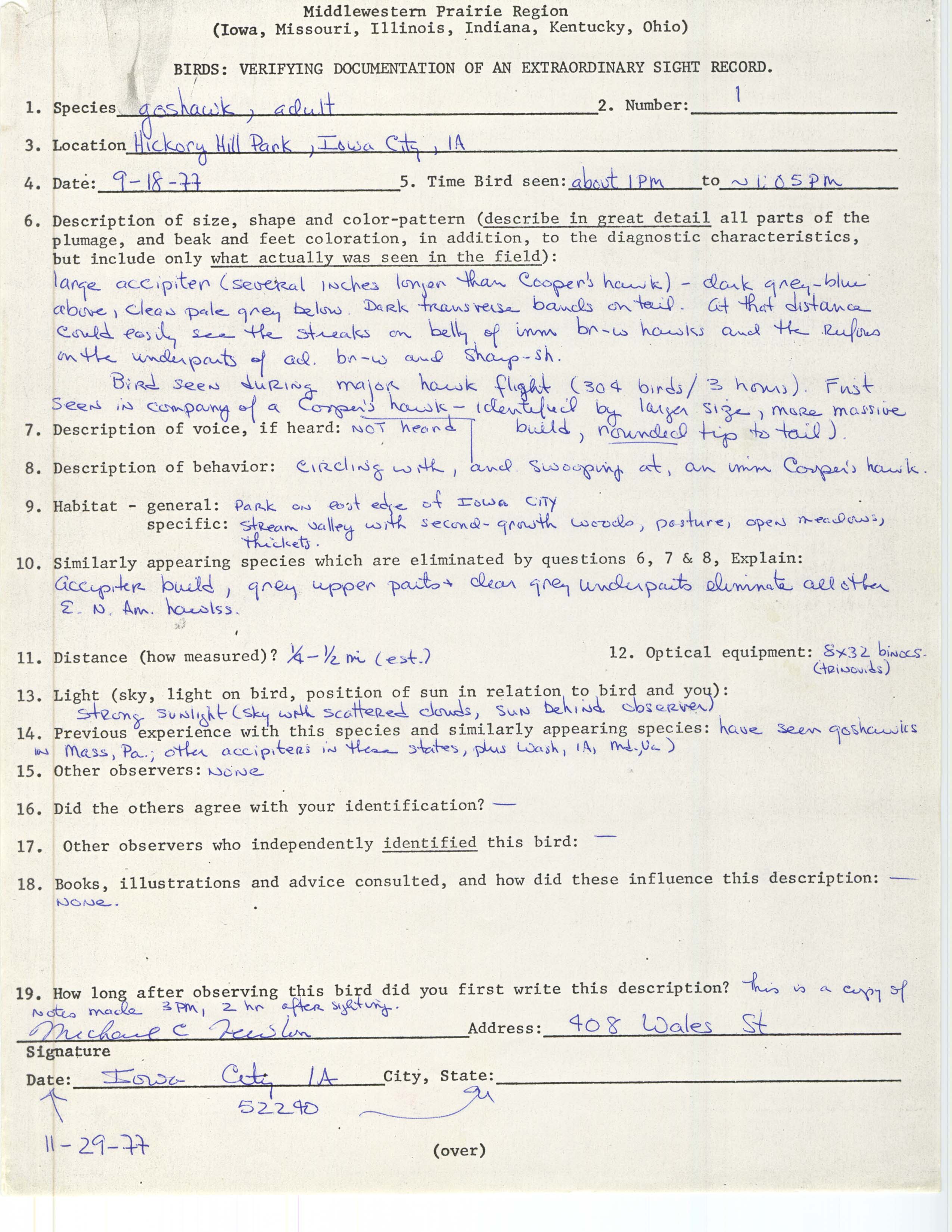 Rare bird documentation form for Northern Goshawk at Hickory Hill Park, 1977