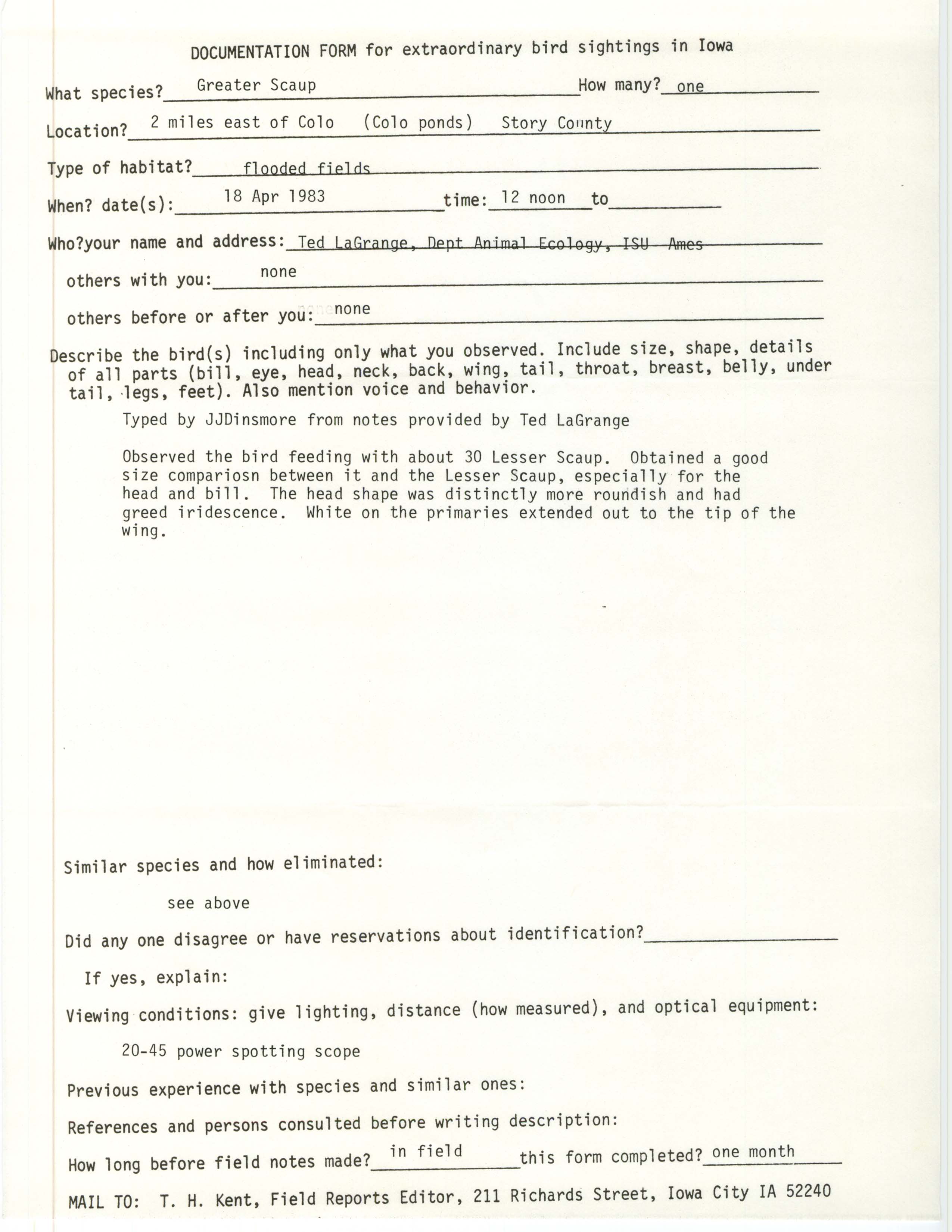 Rare bird documentation form for Greater Scaup at Colo Ponds, 1983