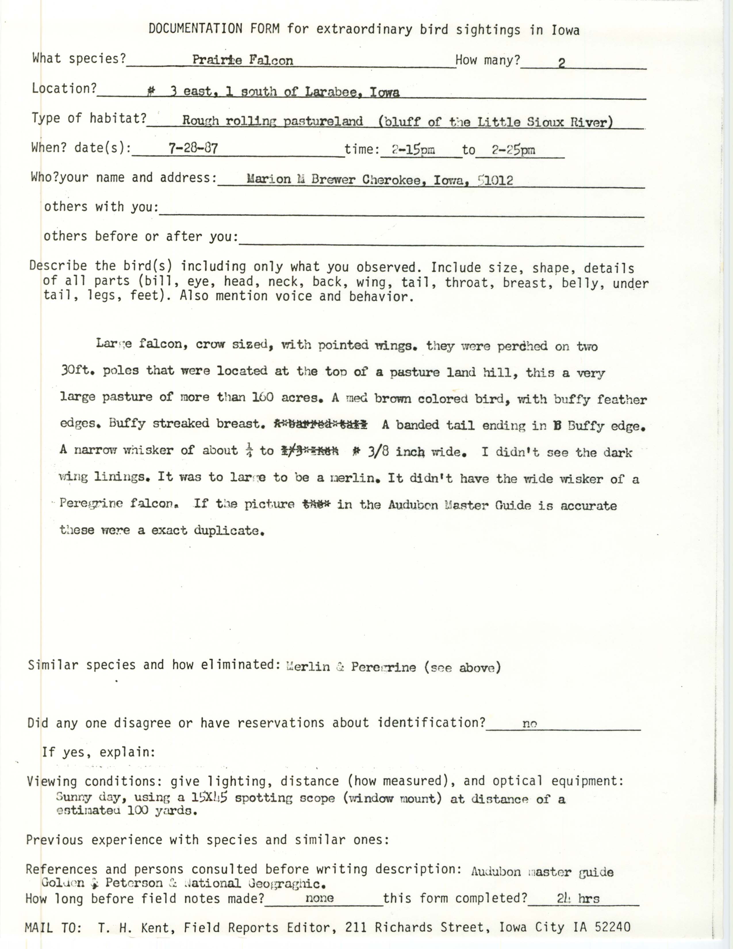 Rare bird documentation form for Prairie Falcon southeast of Larrabee, 1987