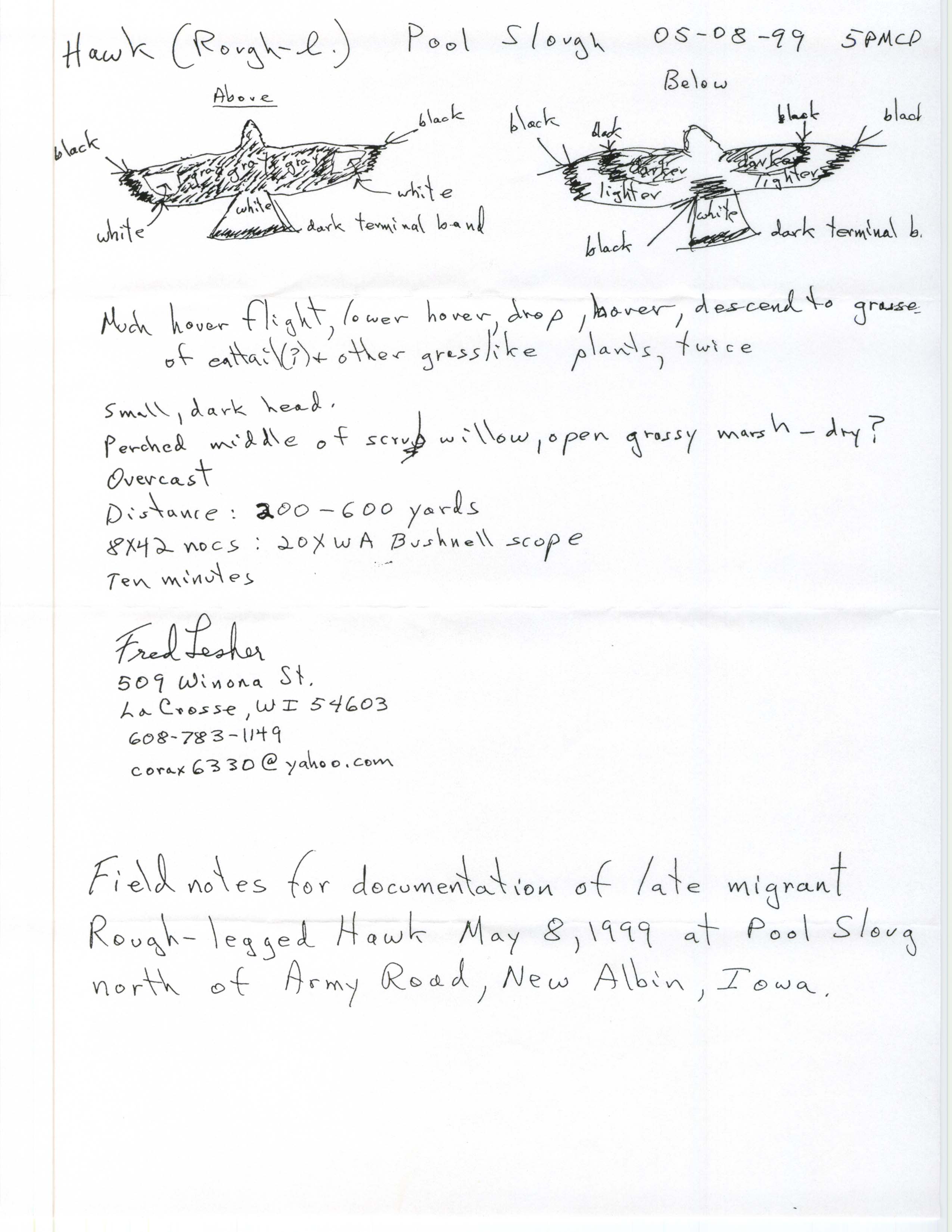 Rare bird documentation form for Rough-legged Hawk at Pool Slough, 1999