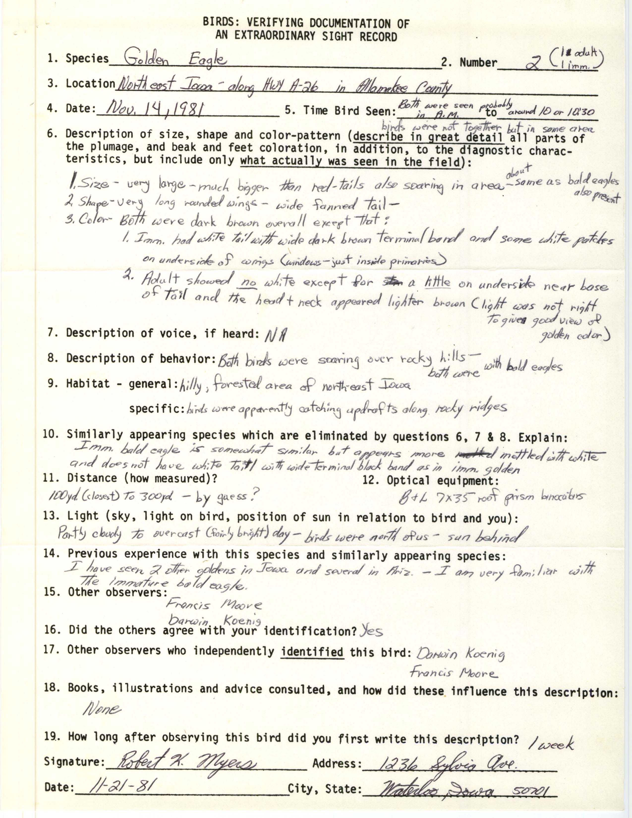 Rare bird documentation form for Golden Eagle at Allamakee County, 1981