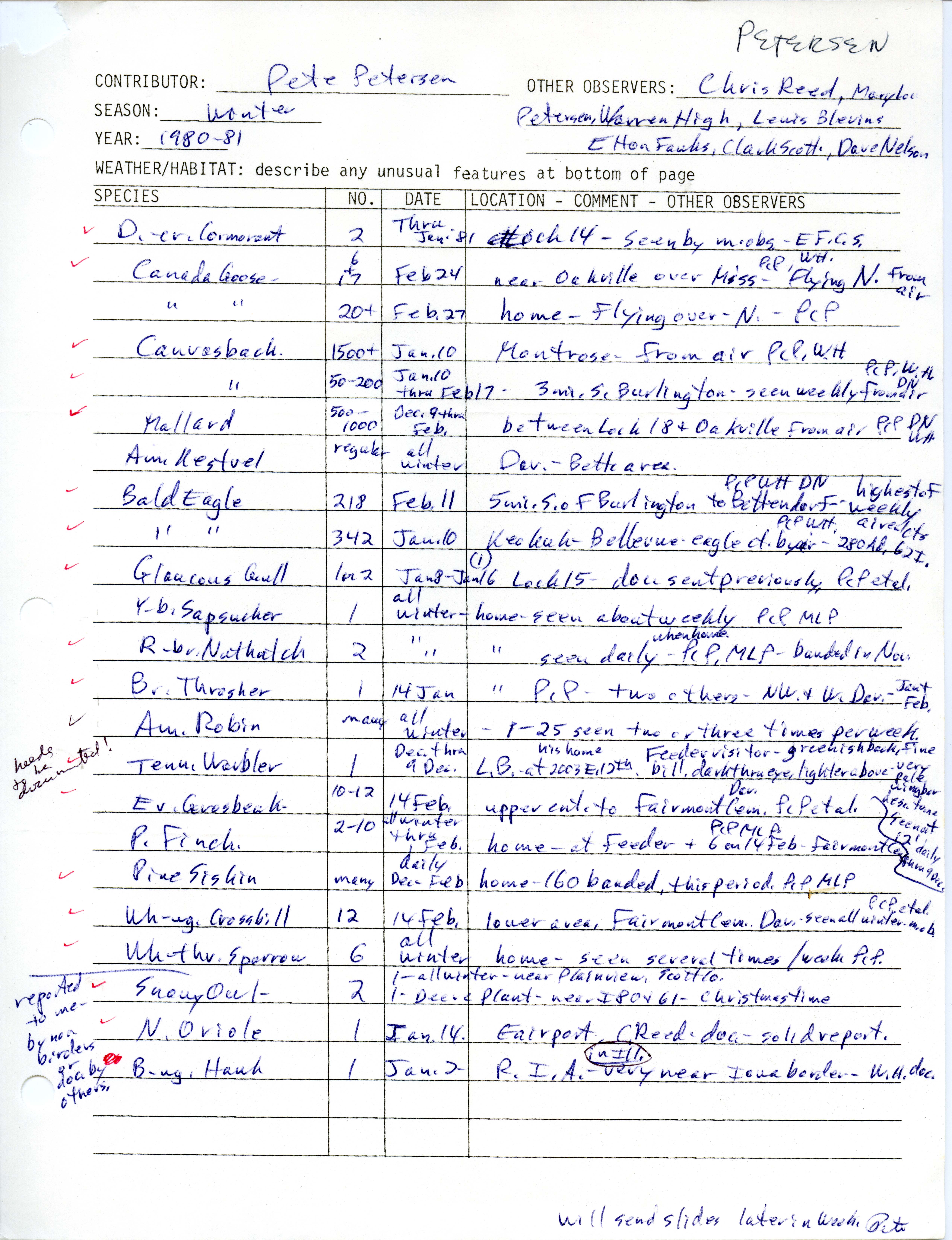 Annotated bird sighting list for Winter 1980-1981 compiled by Pete Petersen