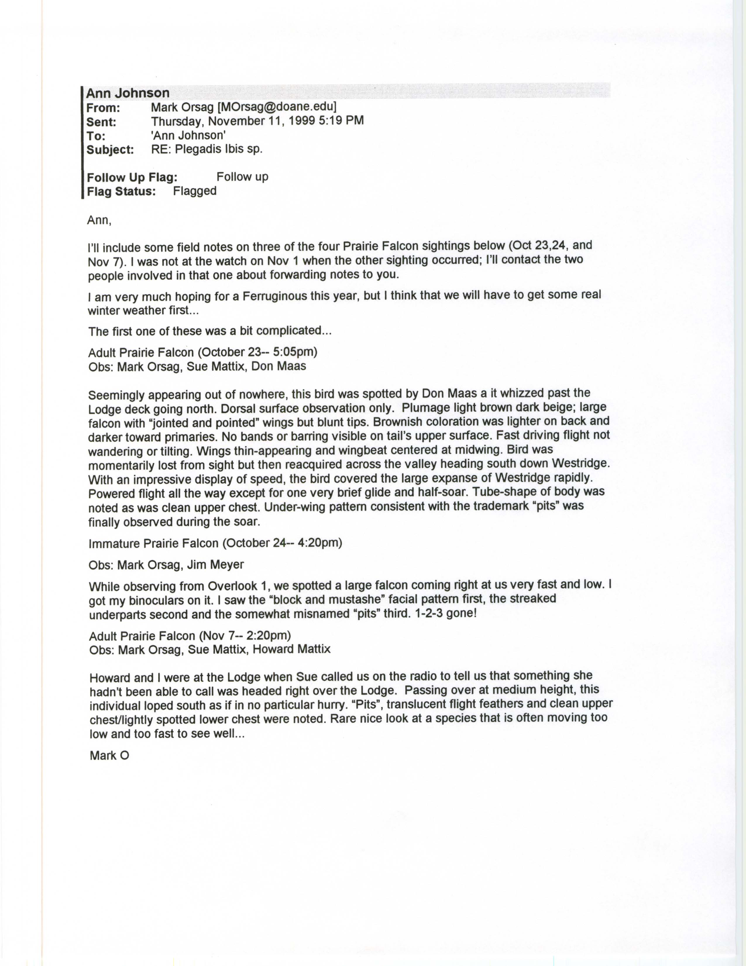 Mark Orsag email to Ann Johnson regarding Prairie Falcon sightings, November 11, 1999