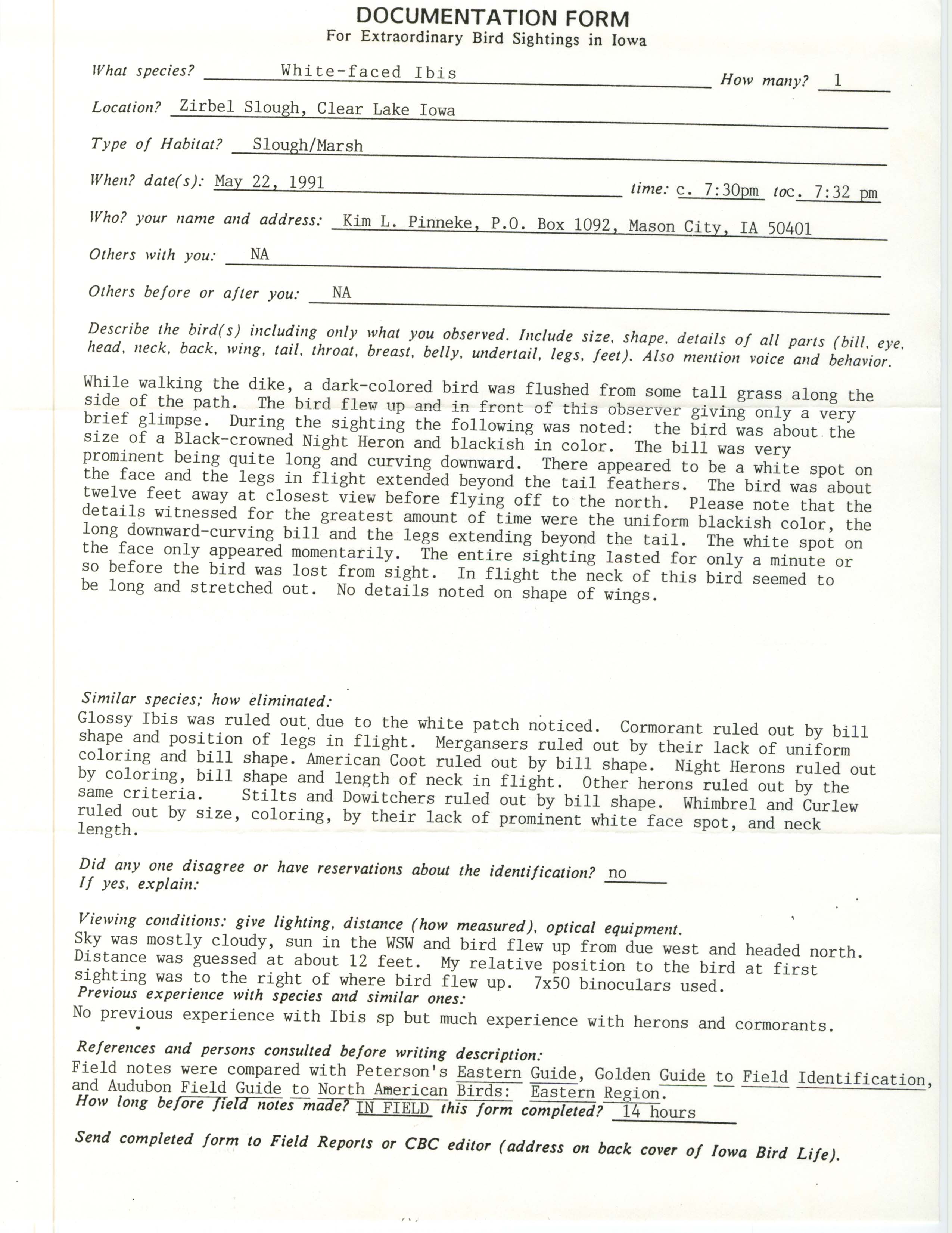 Rare bird documentation form for White-faced Ibis at Zirbel Slough, 1991
