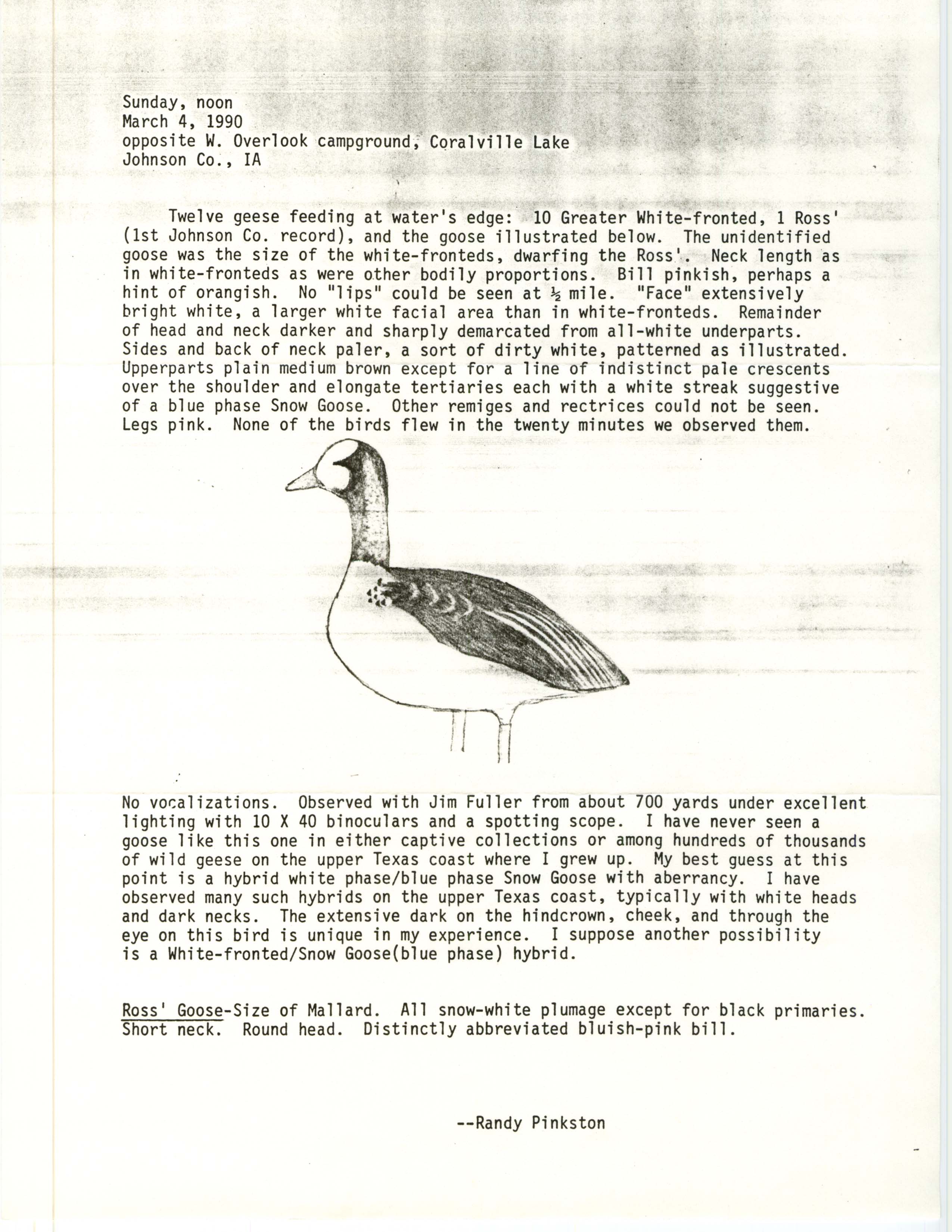 Rare bird documentation form for Goose species at West Overlook at Coralville Lake, 1990