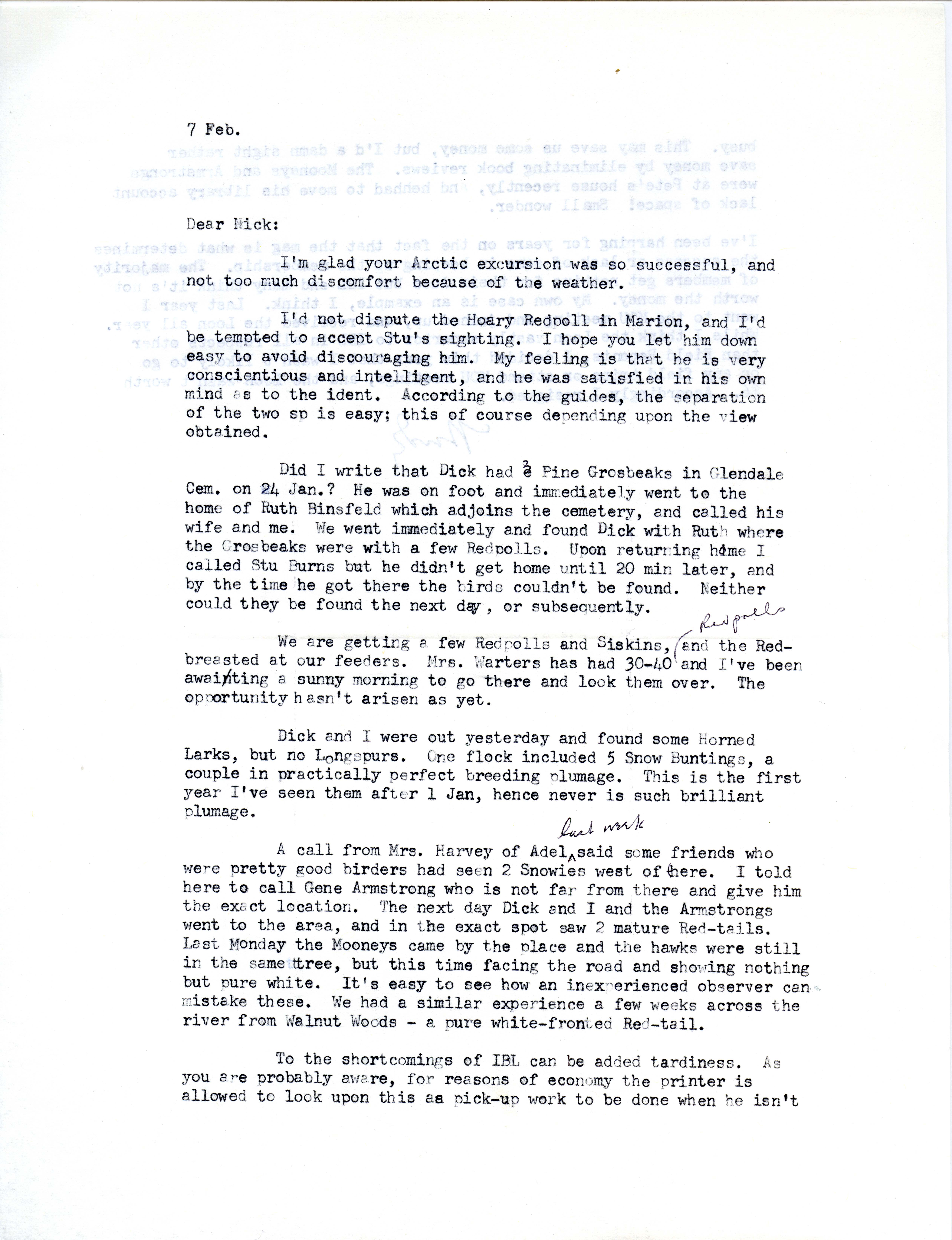 Woodward H. Brown letter to Nicholas S. Halmi regarding bird sightings, February 7, 1978