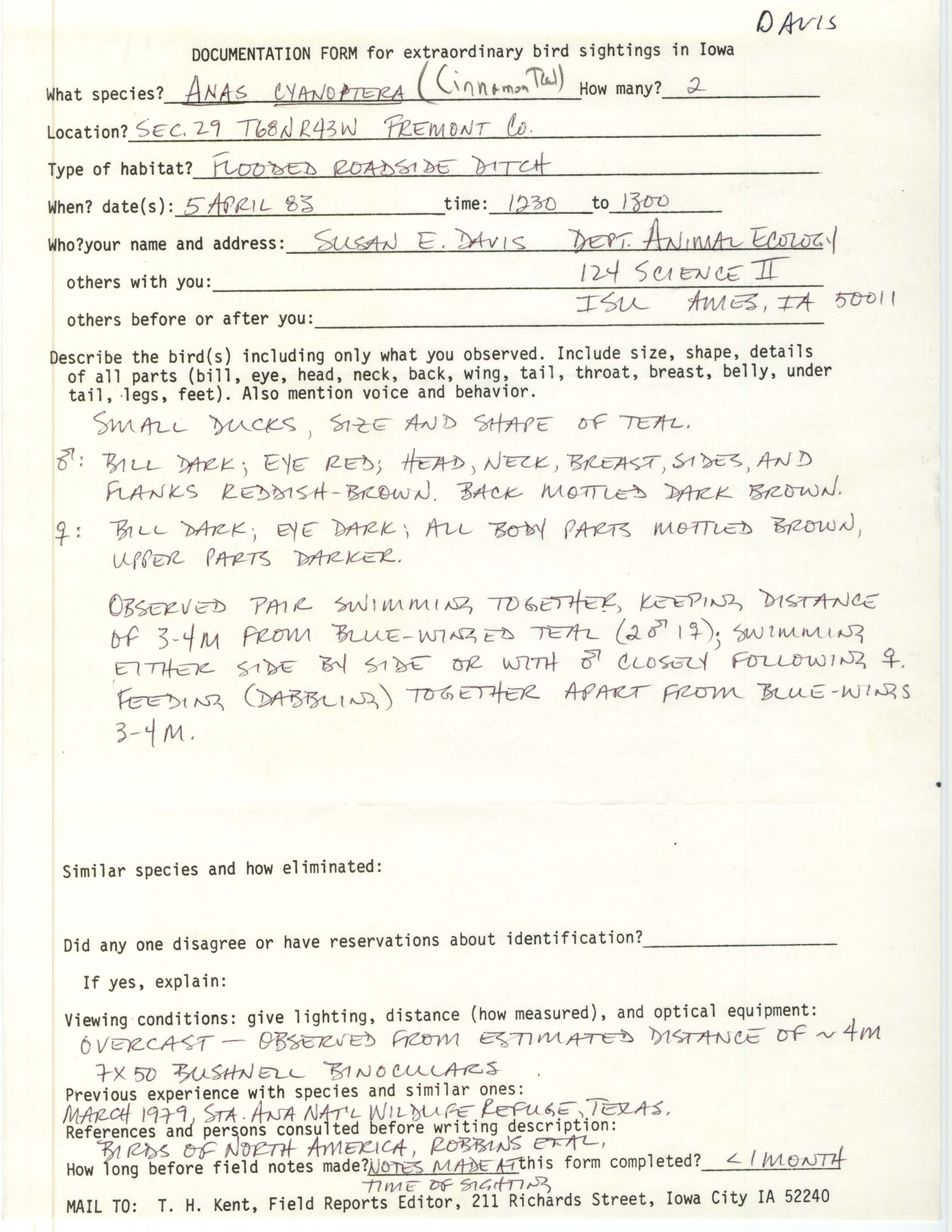 Rare bird documentation form for Cinnamon Teal at Fremont County, 1983