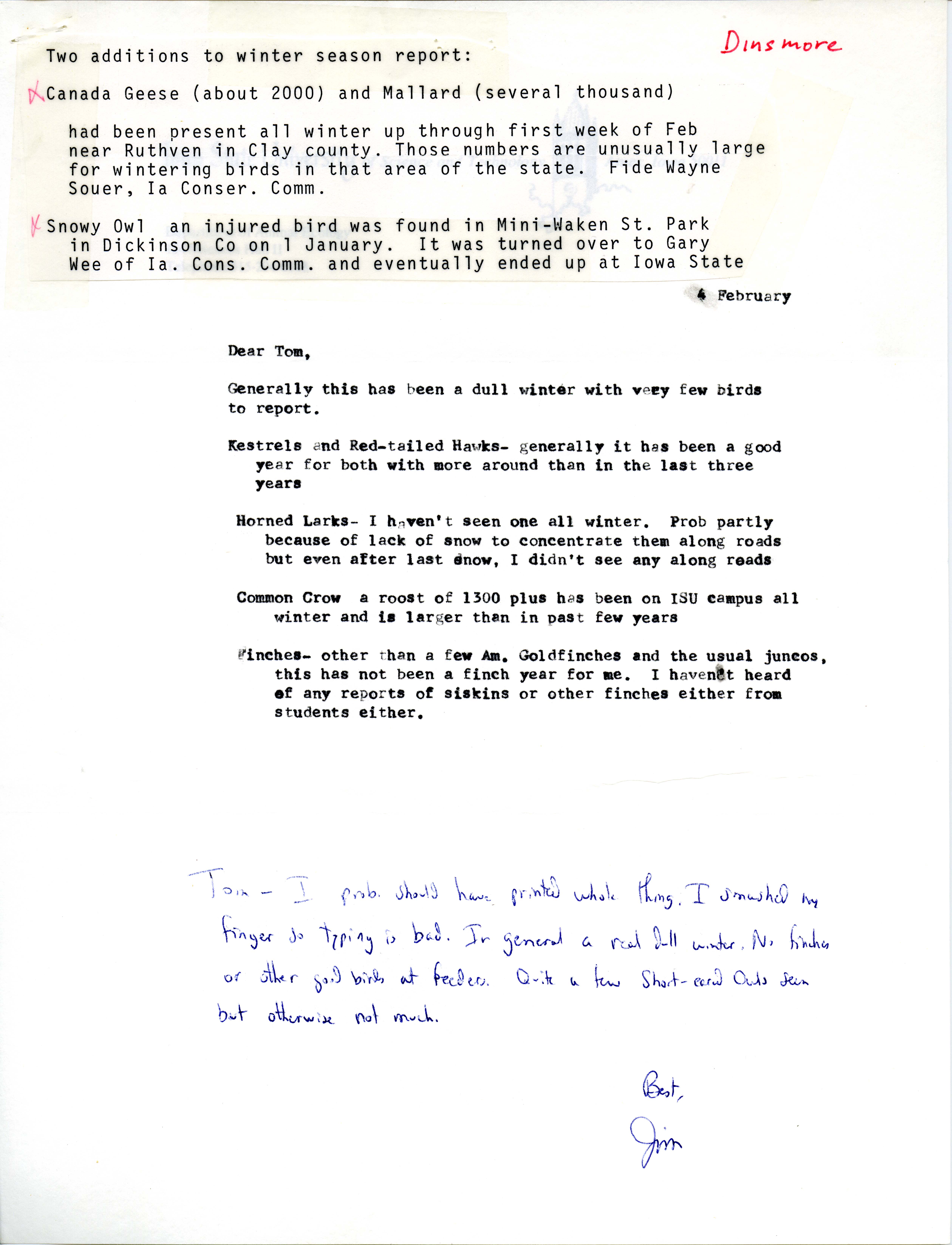 James J. Dinsmore letter to Thomas H. Kent regarding bird sightings, February 4, 1980