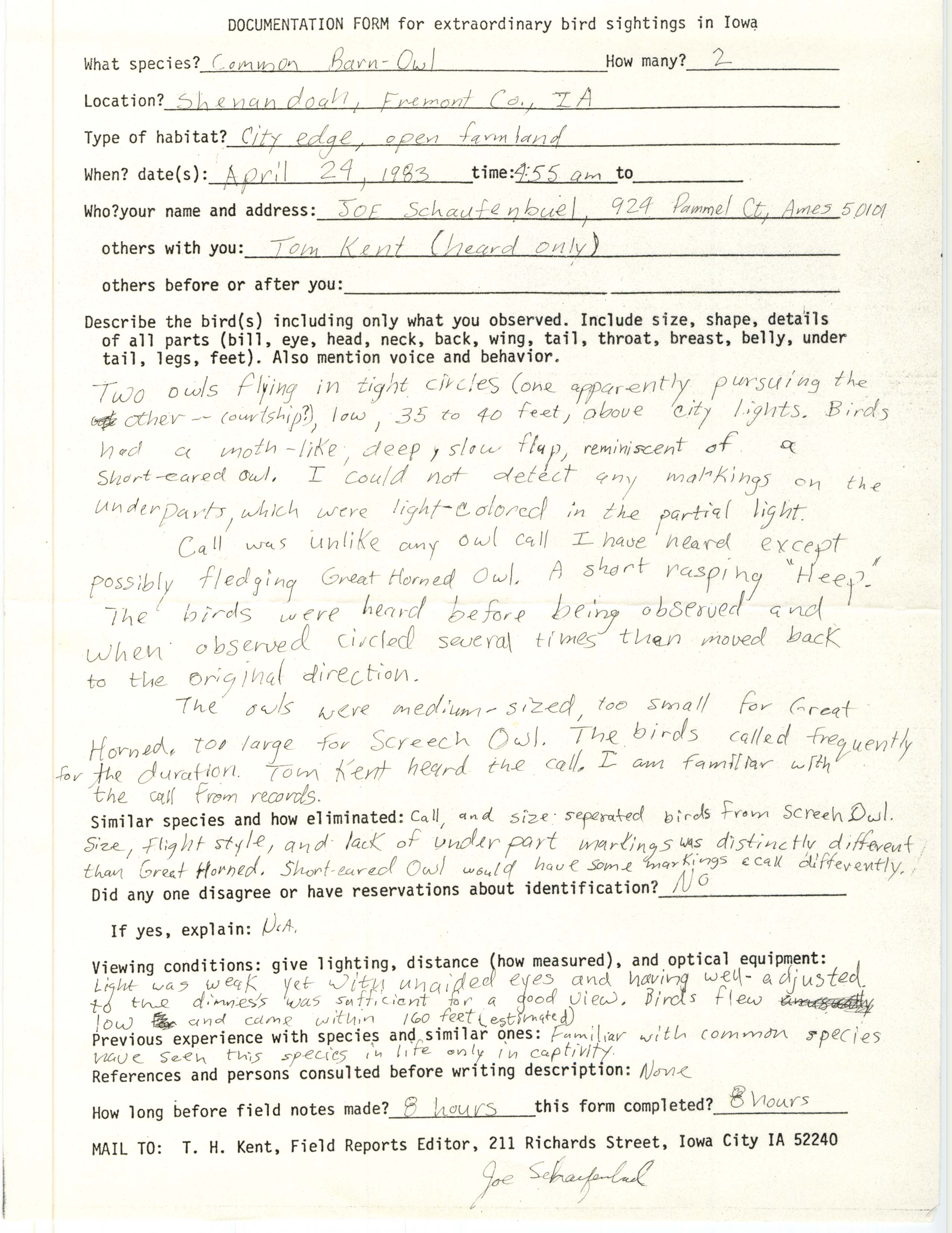 Rare bird documentation form for Common Barn Owl at Shenandoah, 1983