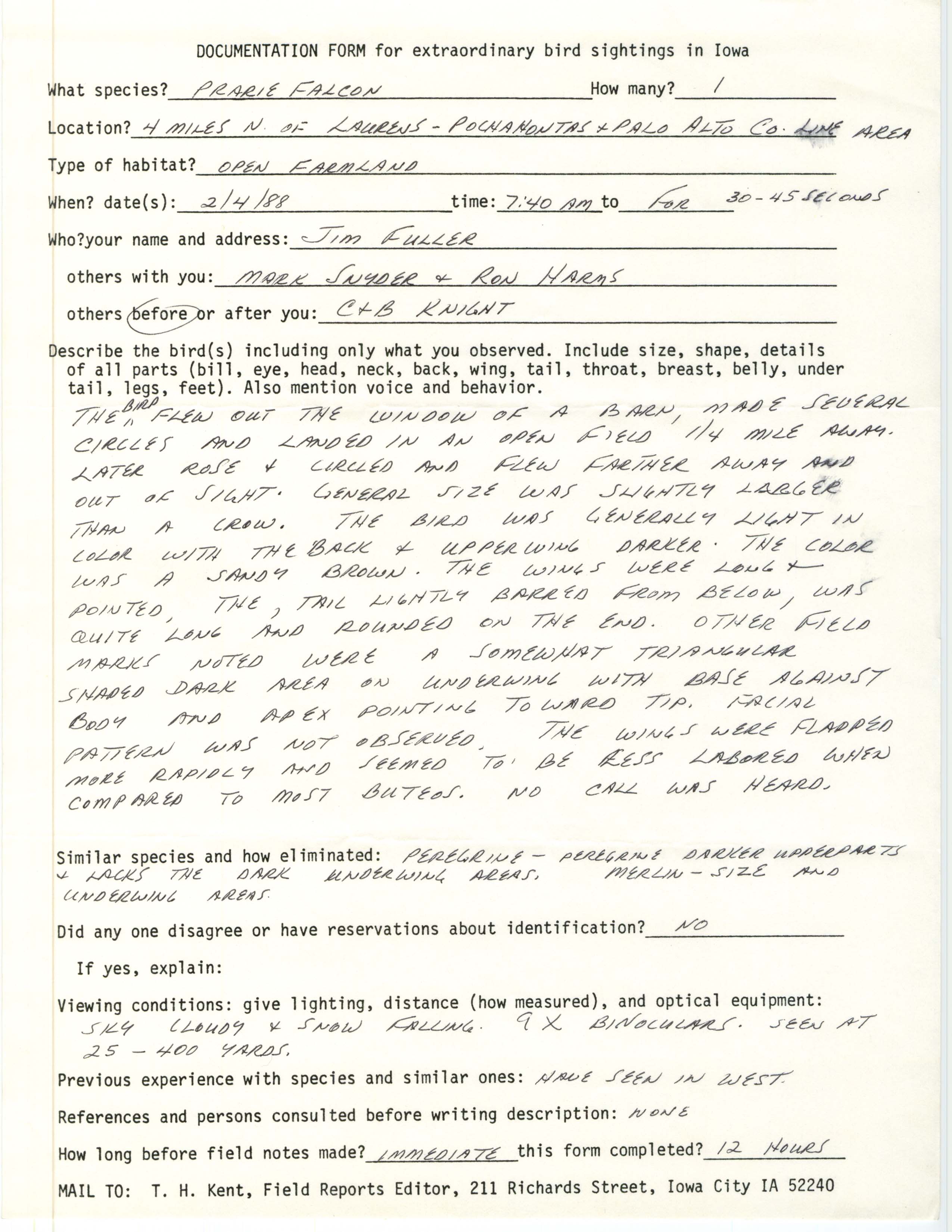 Rare bird documentation form for Prairie Falcon north of Laurens, 1988