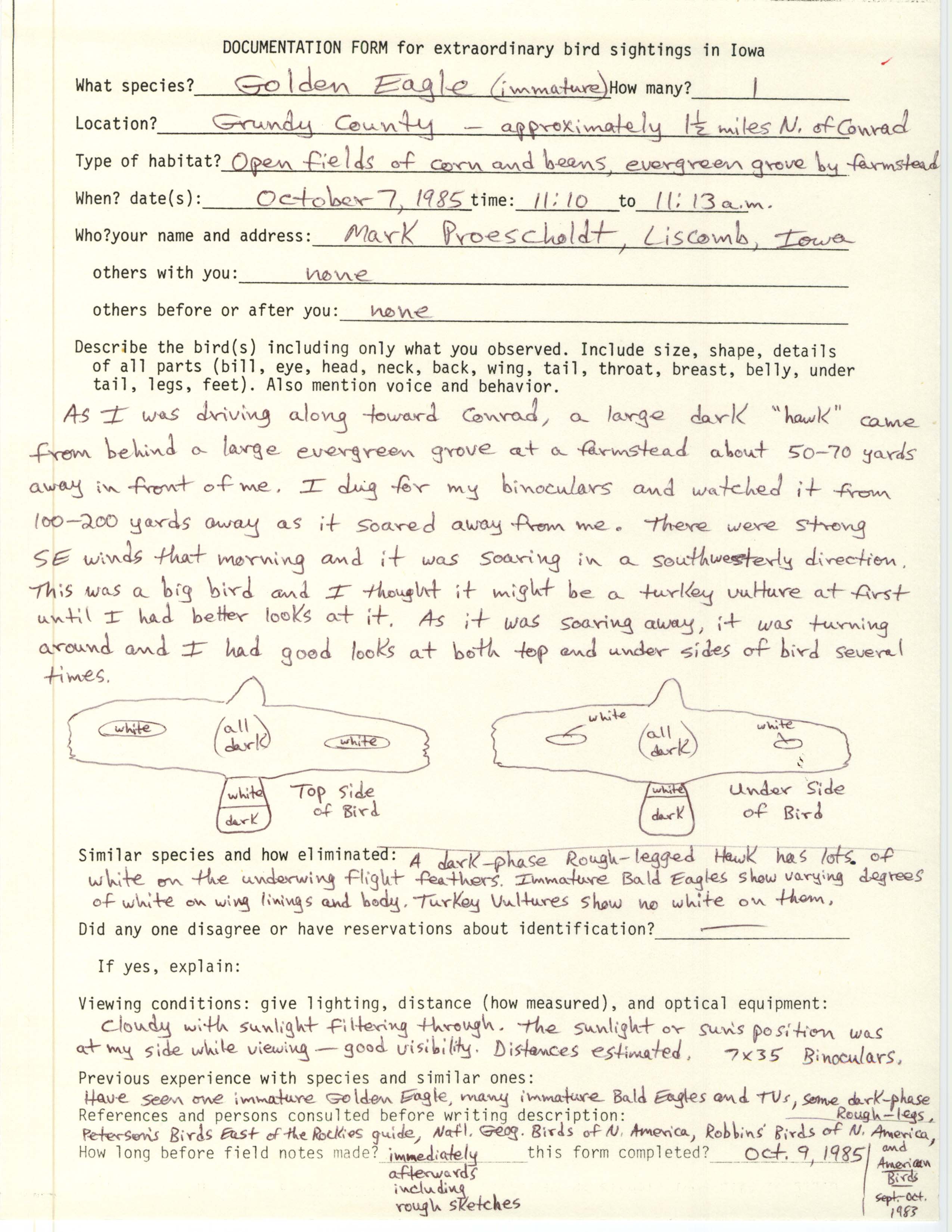 Rare bird documentation form for Golden Eagle north of Conrad, 1985