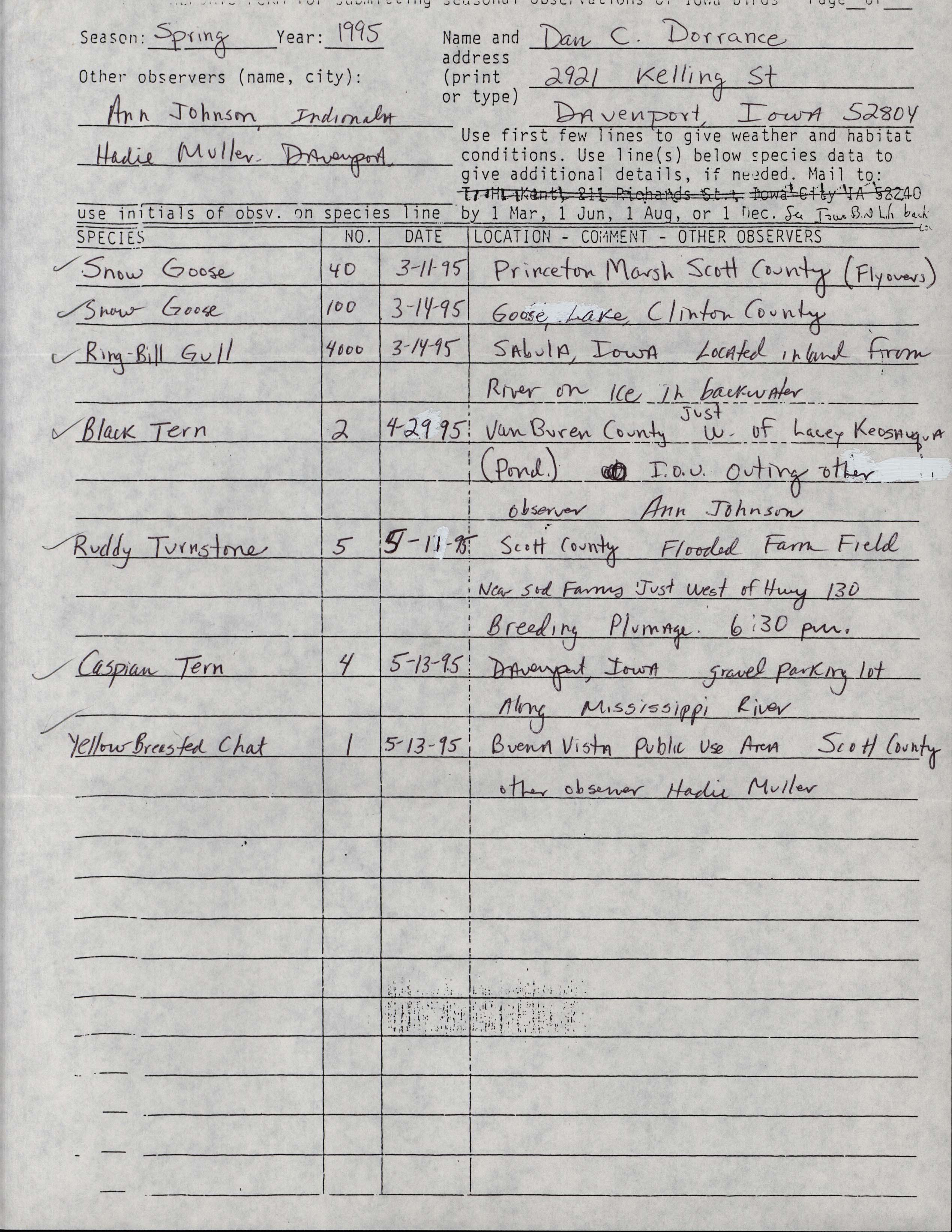 Field reports form for submitting seasonal observations of Iowa birds, spring 1995, Dan Dorrance