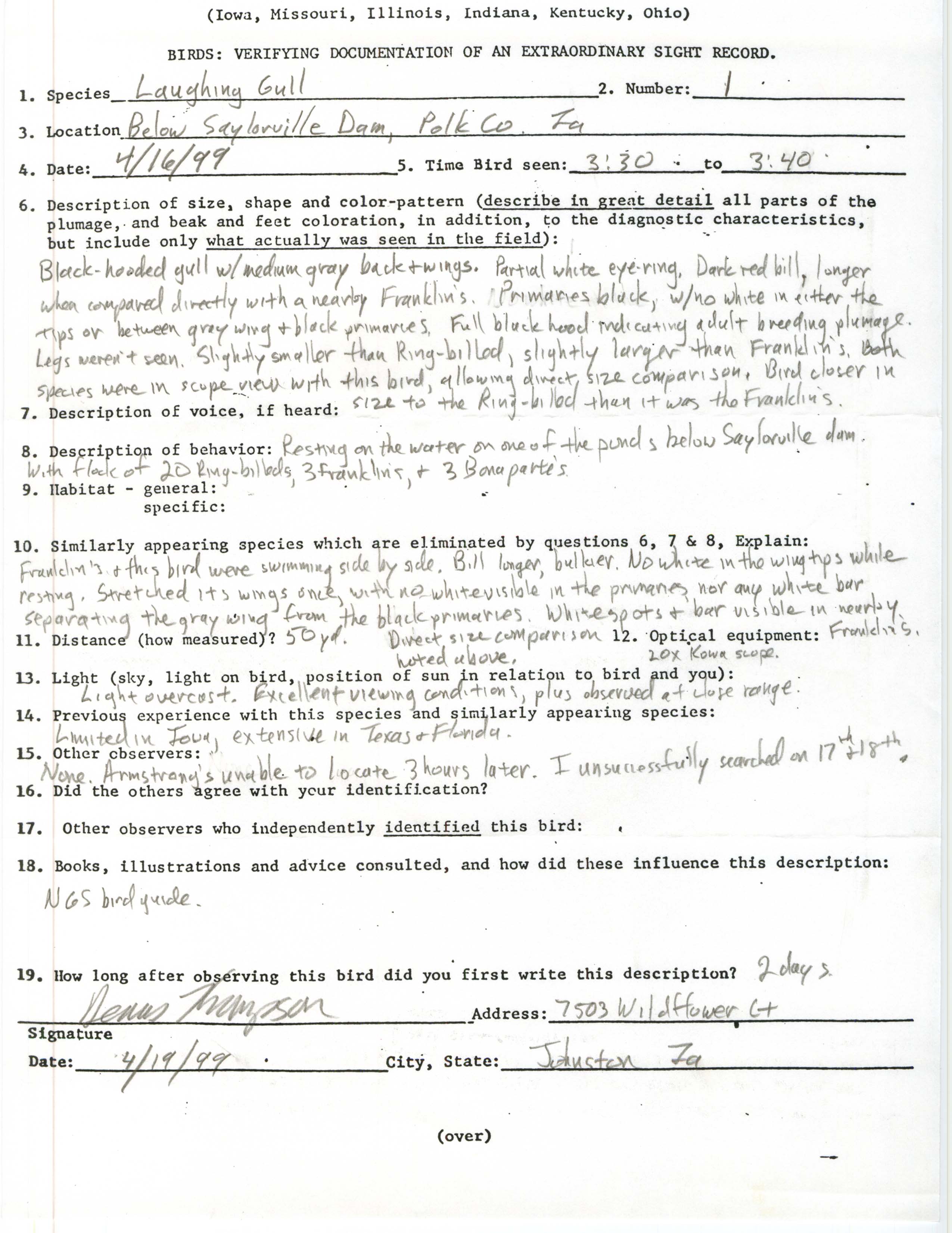 Rare bird documentation form for Laughing Gull at Saylorville Dam, 1999