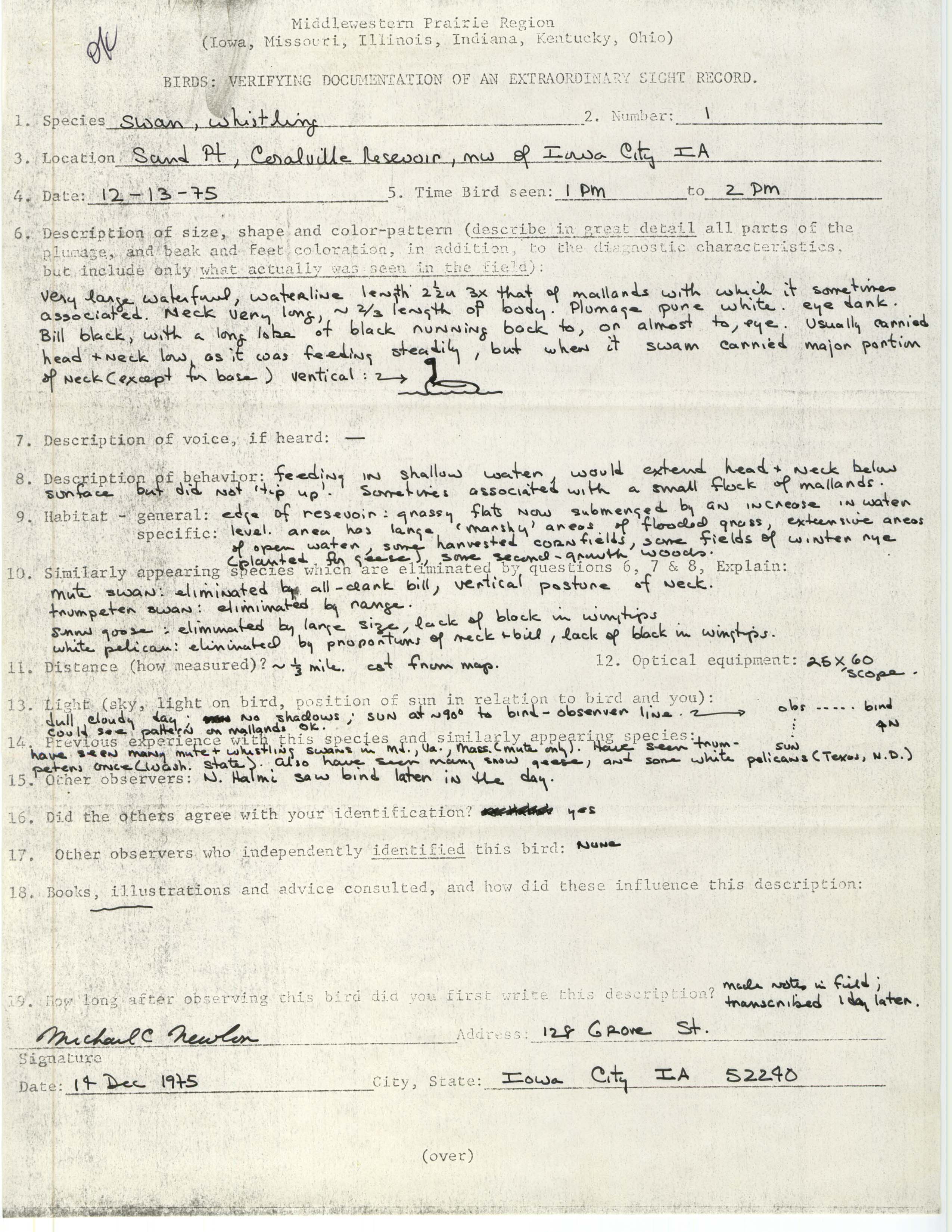 Rare bird documentation form for Tundra Swan at Sand Point at Coralville Reservoir, 1975