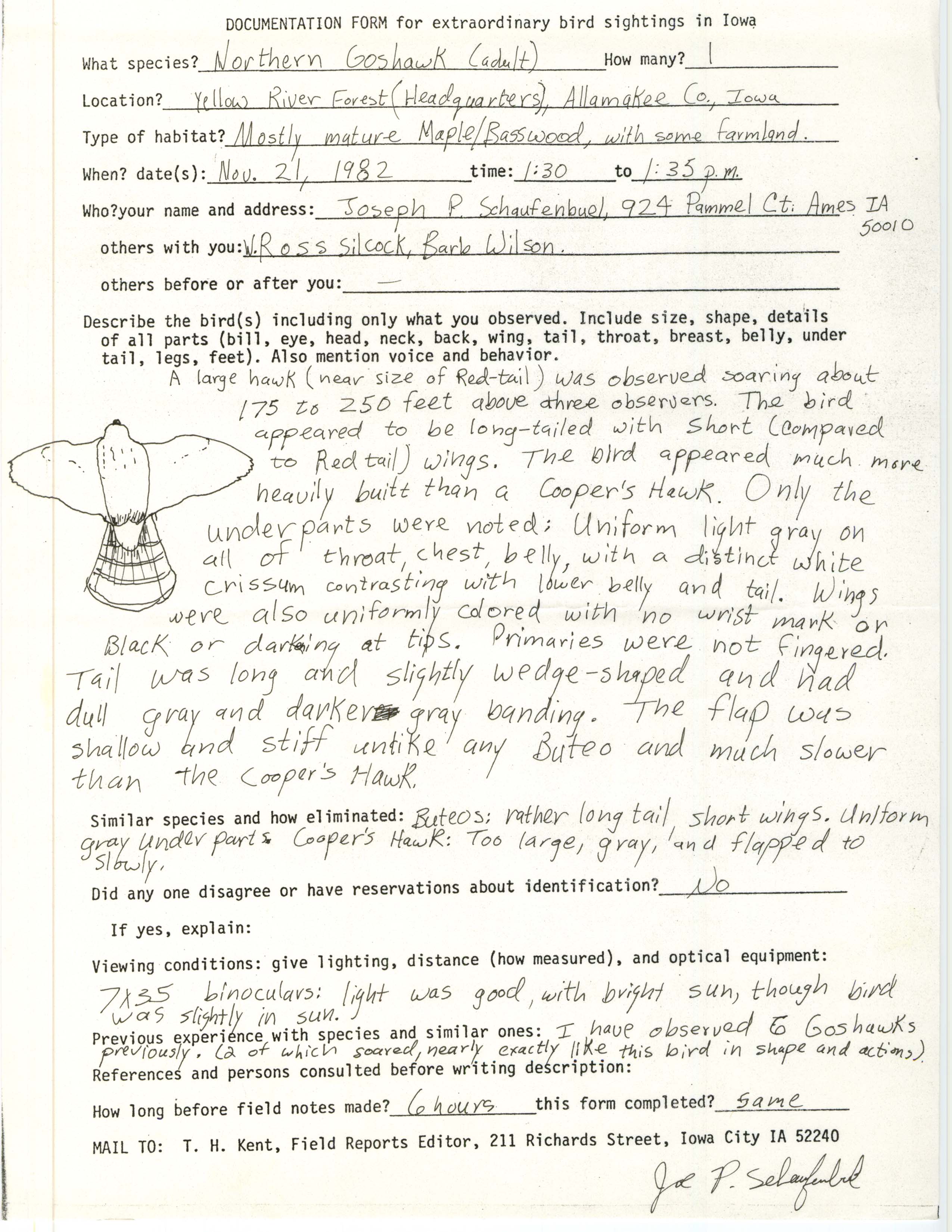 Rare bird documentation form for Northern Goshawk at Yellow River Forest, 1982