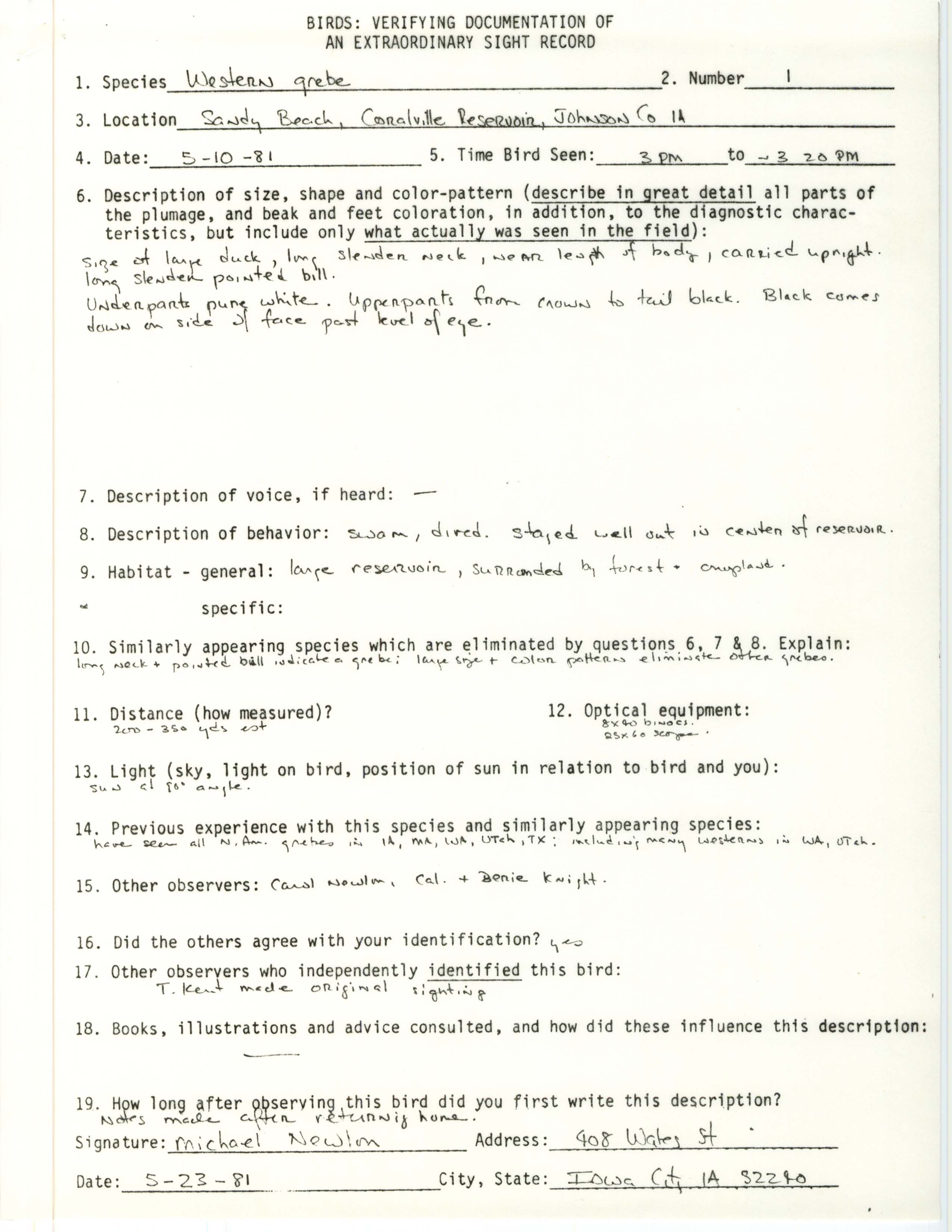 Rare bird documentation form for Western Grebe at Sandy Beach at Coralville Reservoir, 1981