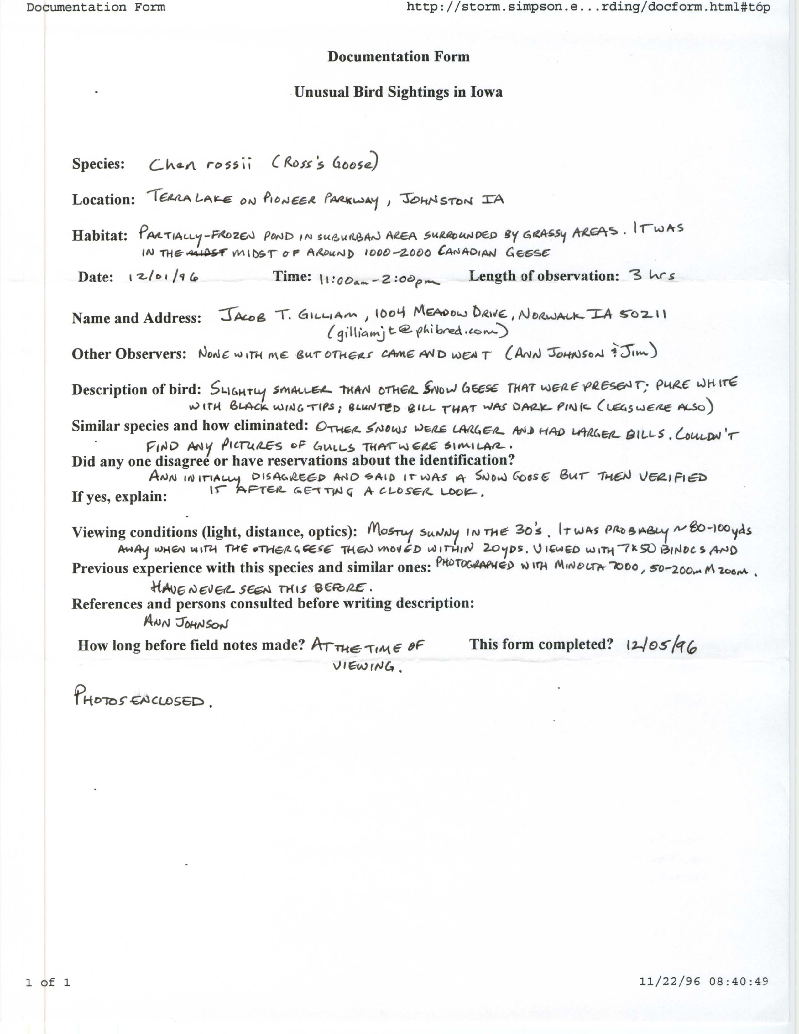 Rare bird documentation form for Ross' Goose at Terra Lake, 1996
