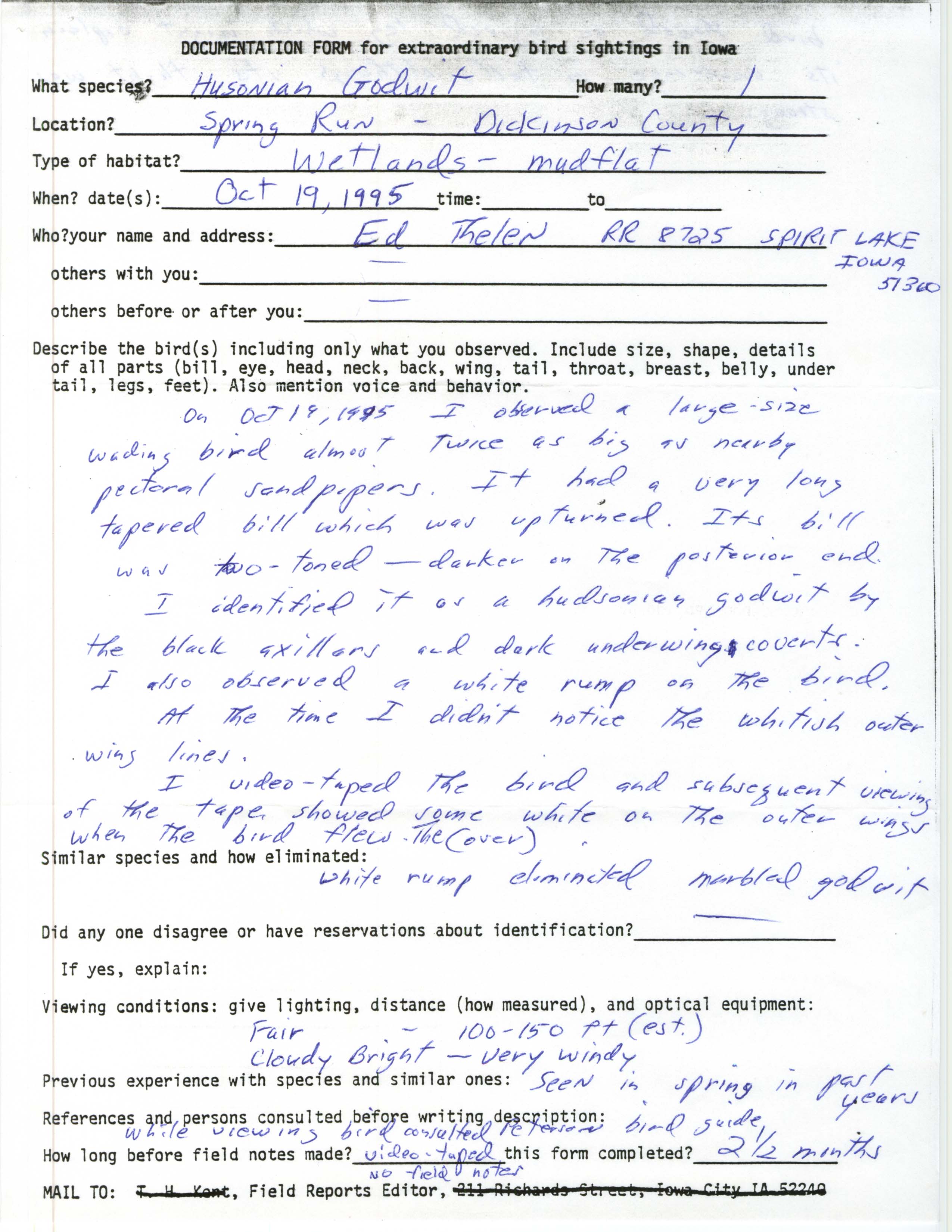 Rare bird documentation form for Hudsonian Godwit at Spring Run, 1995