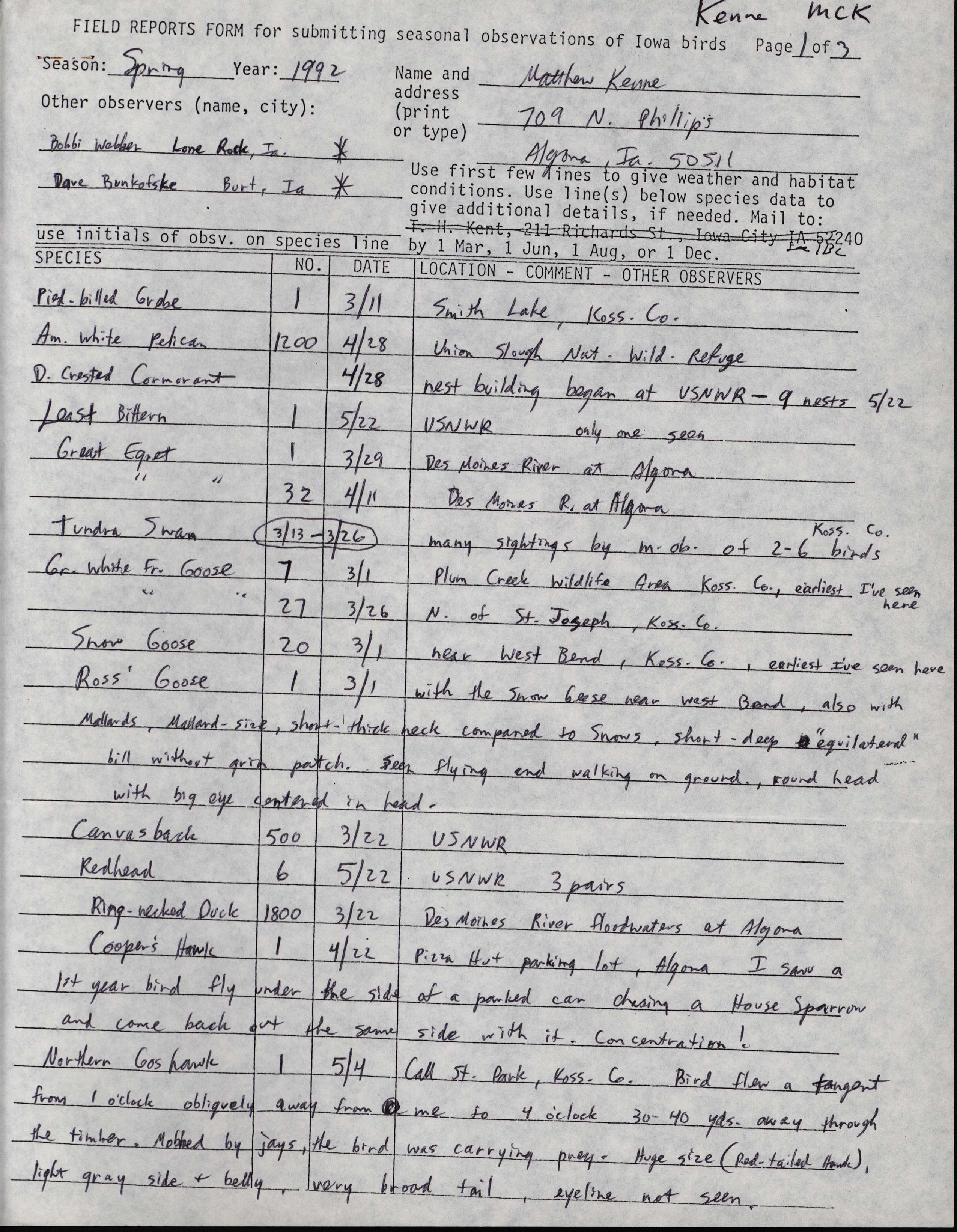 Field reports form for submitting seasonal observations of Iowa birds, Matthew Kenne, spring 1992