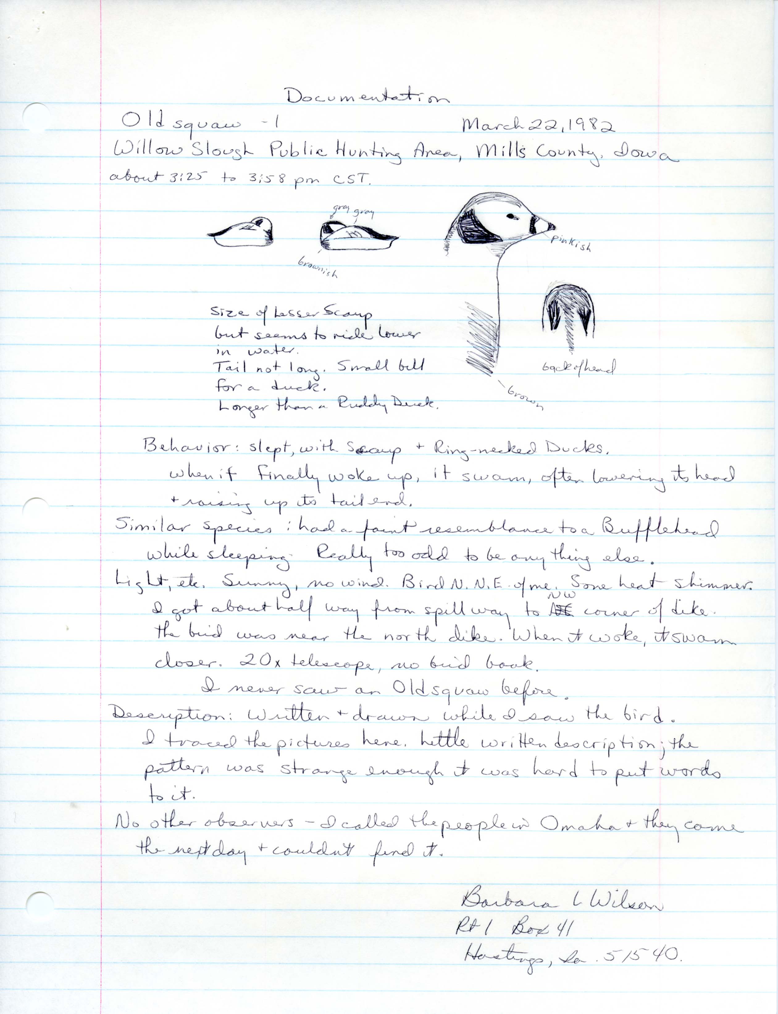 Rare bird documentation form for Long-tailed Duck at Willow Slough Public Hunting Area, 1982