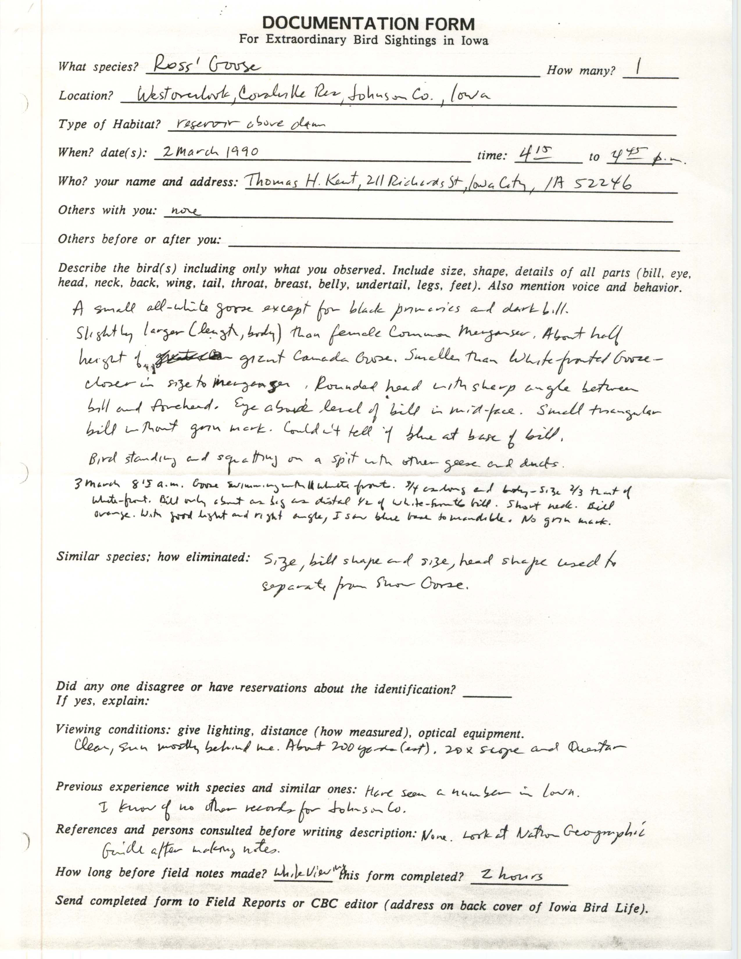 Rare bird documentation form for Ross' Goose at West Overlook at Coralville Reservoir, 1990